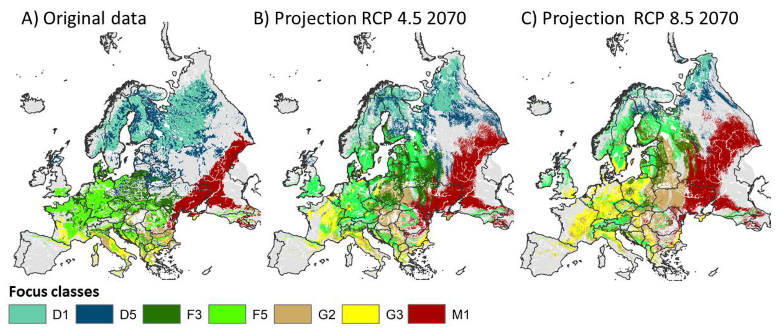 Forests 14 00239 g005