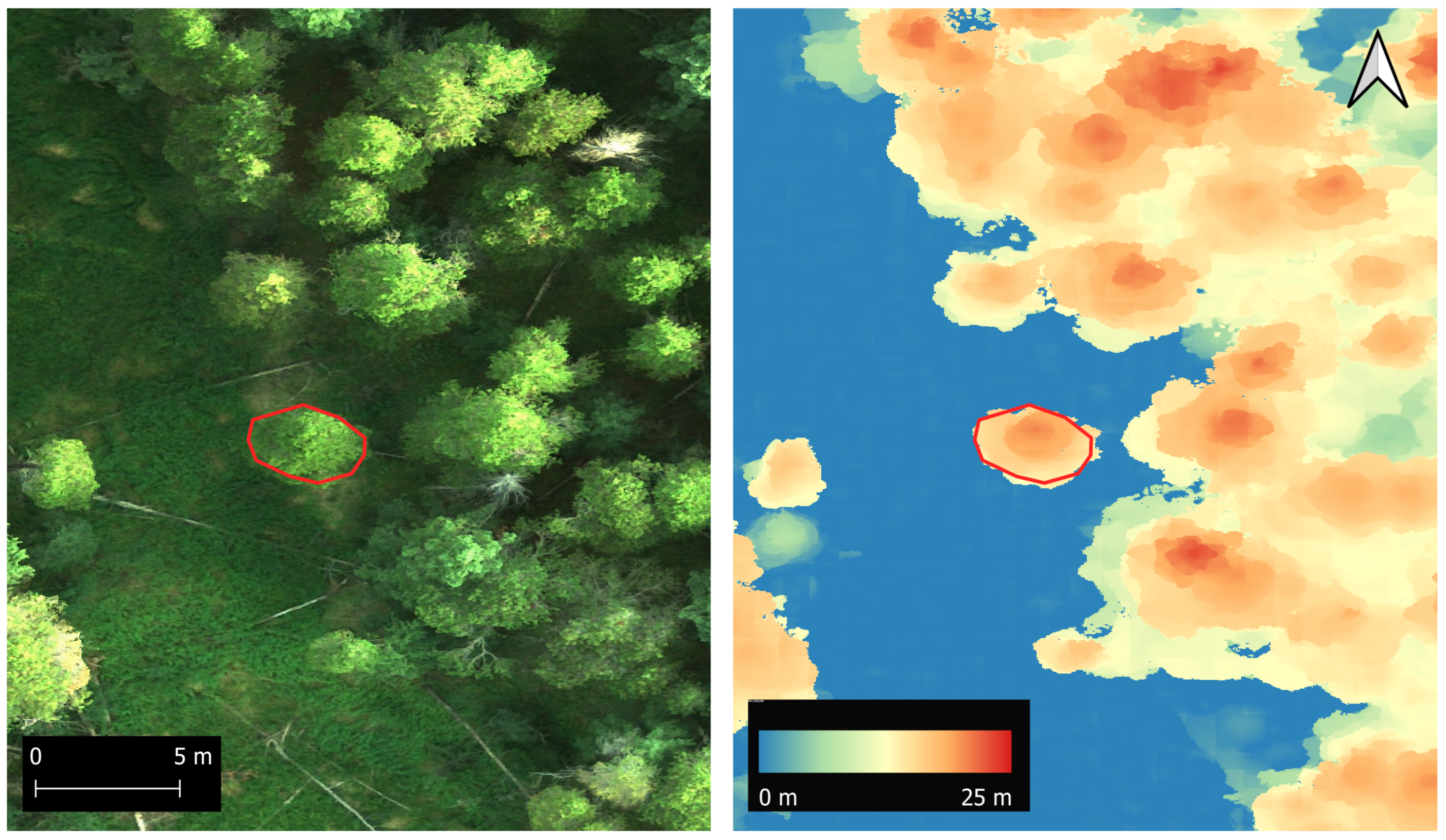 Forests 14 00242 g002