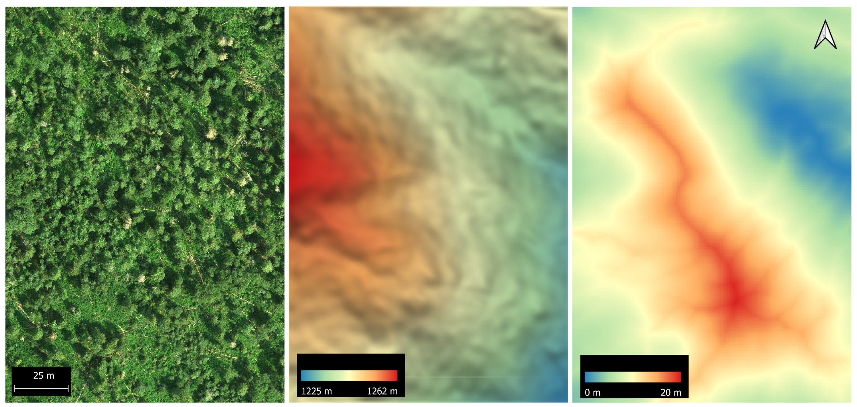 Forests 14 00242 g004
