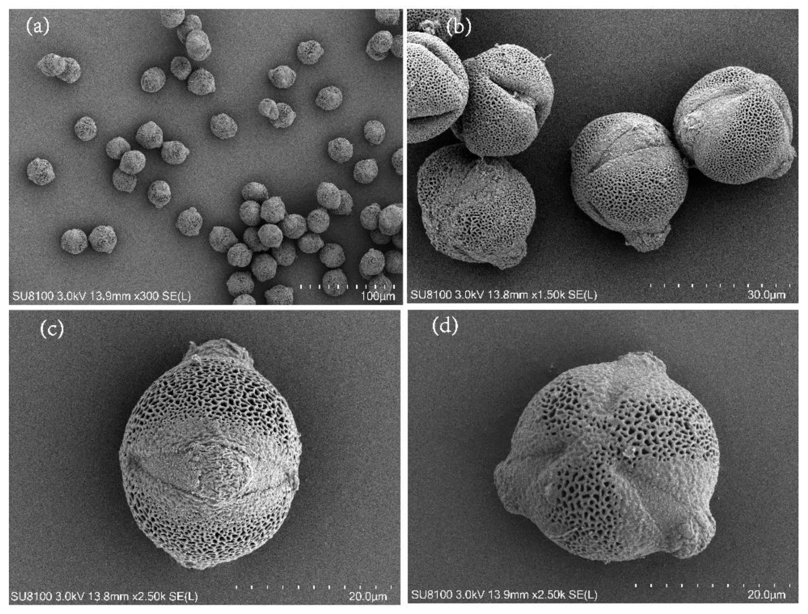 Forests 14 00243 g002