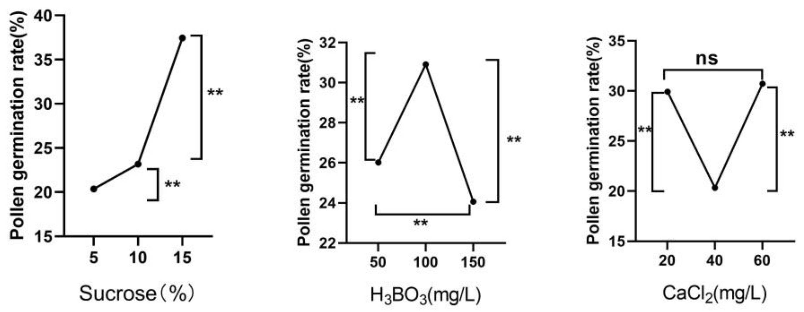 Forests 14 00243 g004