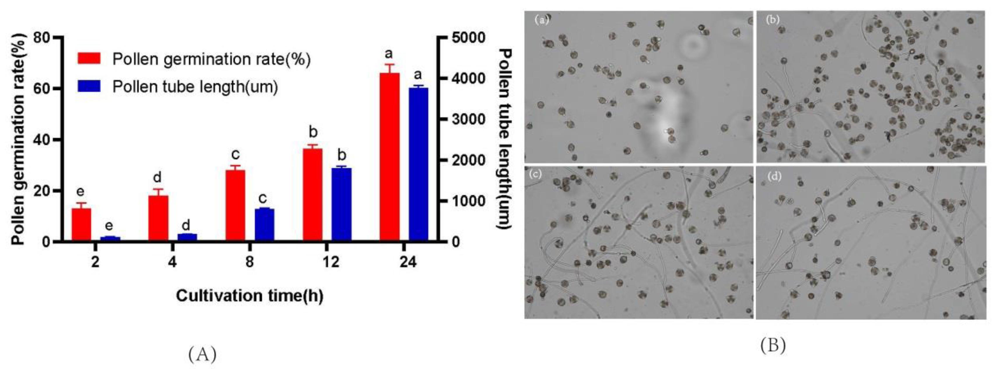 Forests 14 00243 g005