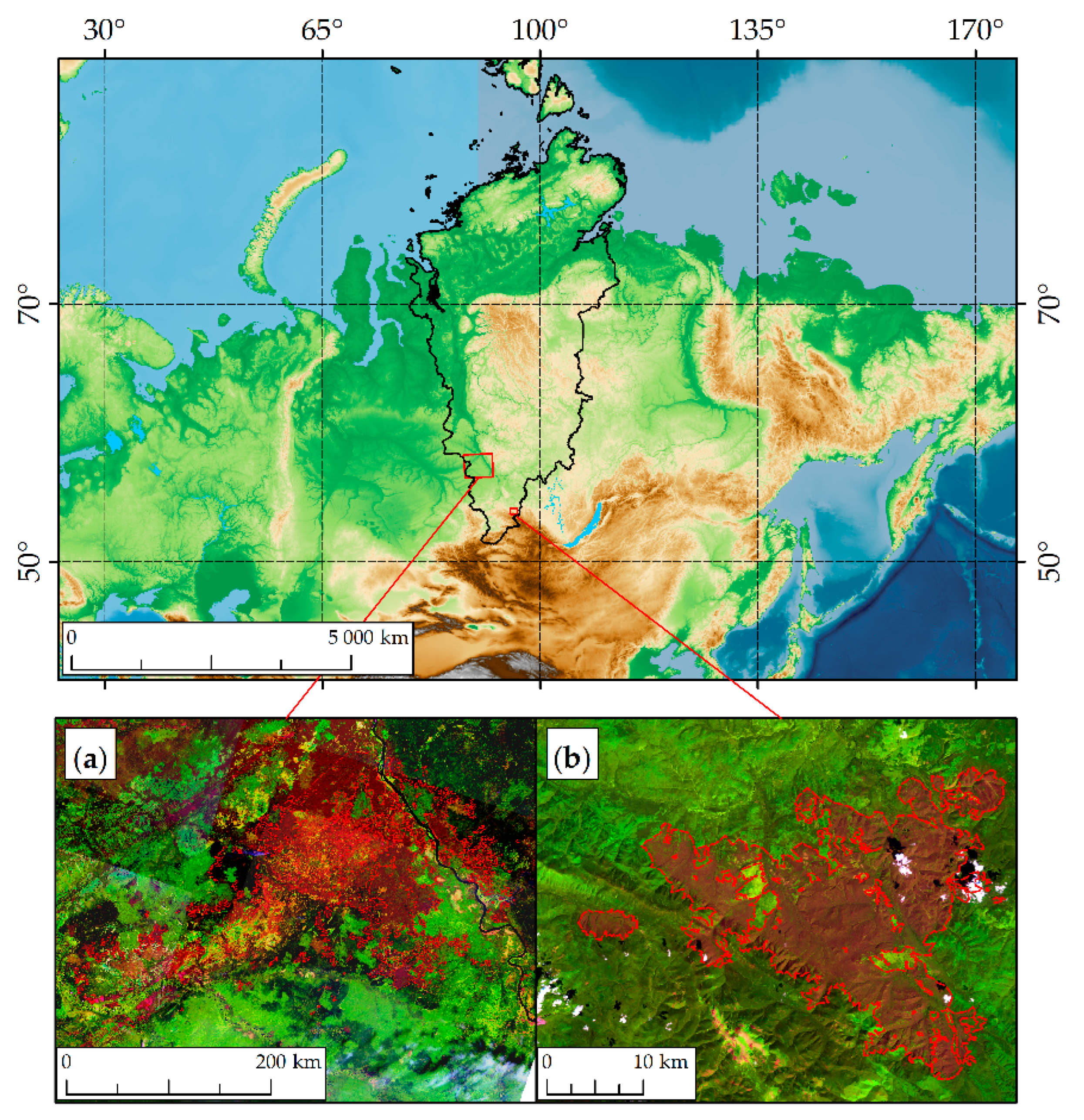 Forests 14 00261 g001