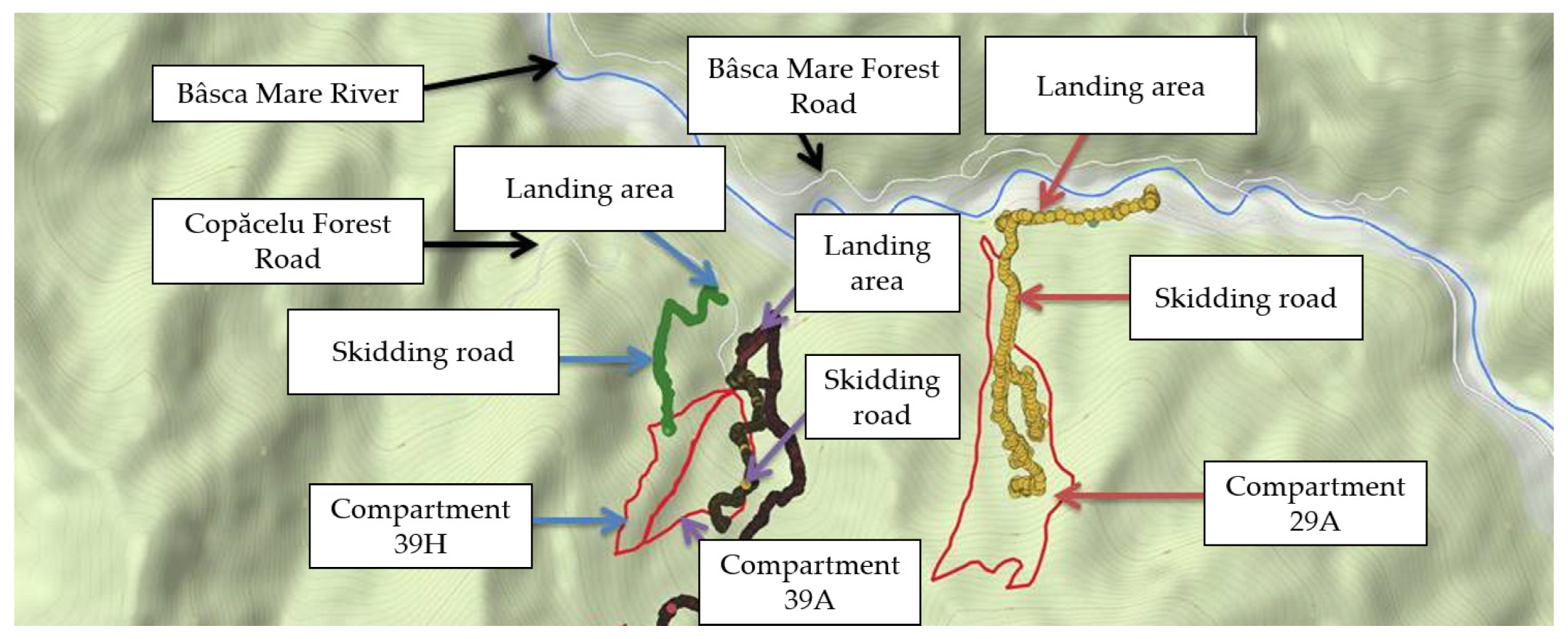 Forests 14 00265 g001
