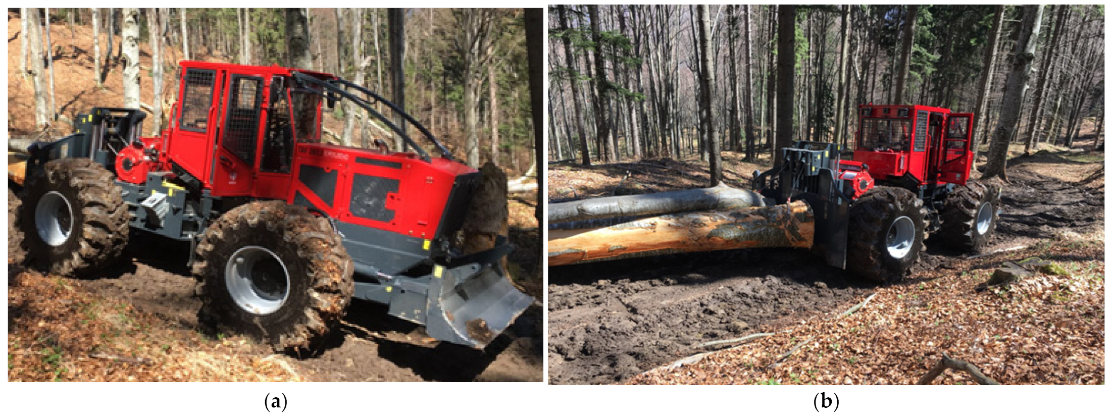 Forests 14 00265 g002