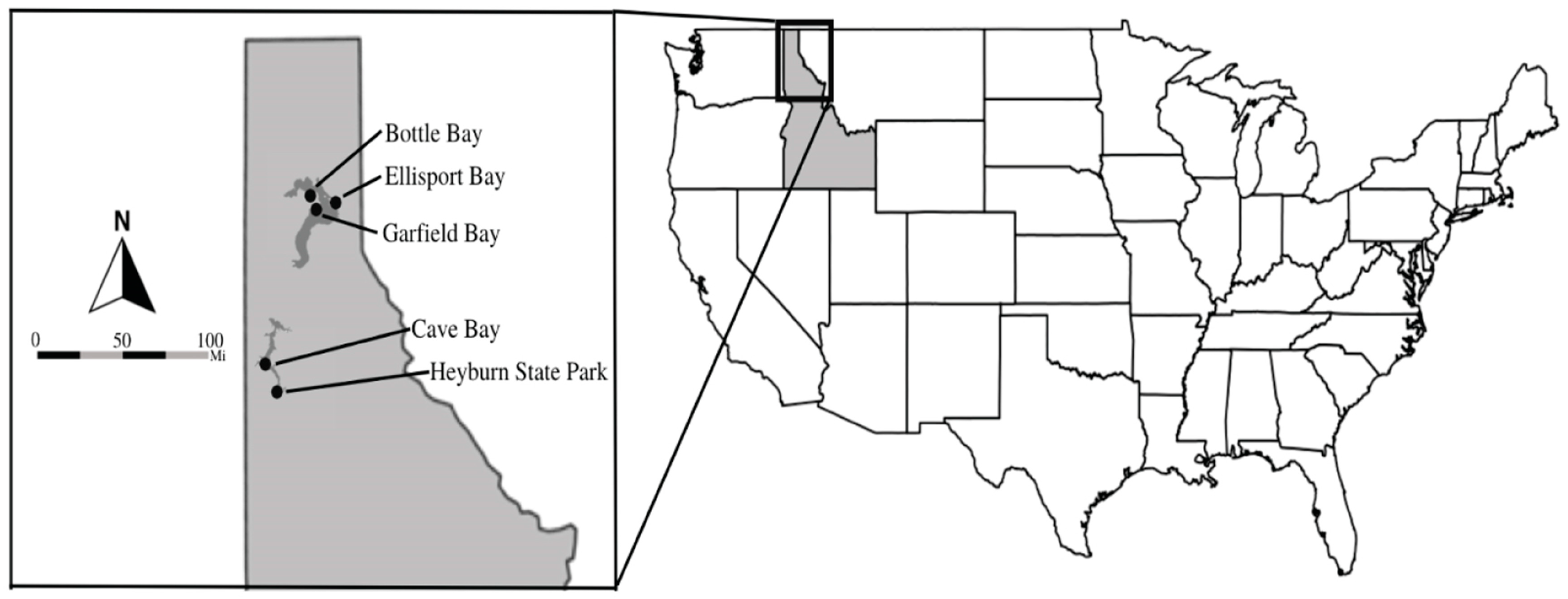 Forests 14 00266 g001