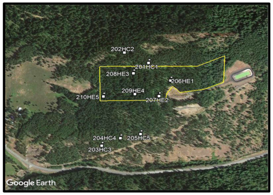 Forests 14 00266 g0a2