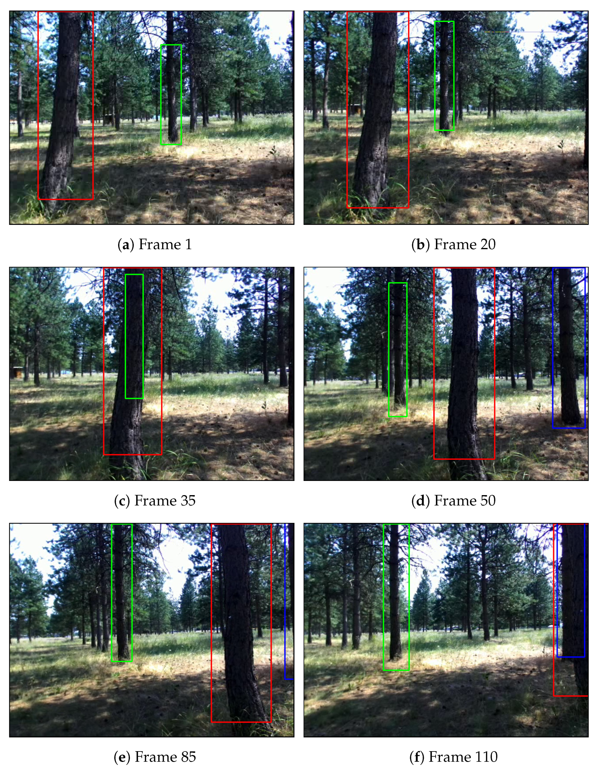 Forests 14 00267 g005 Forests 14 00267 g005