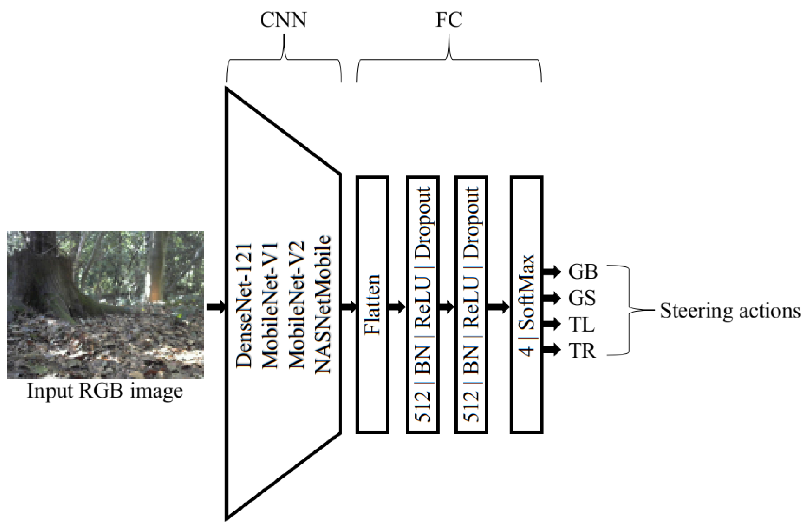 Forests 14 00268 g002