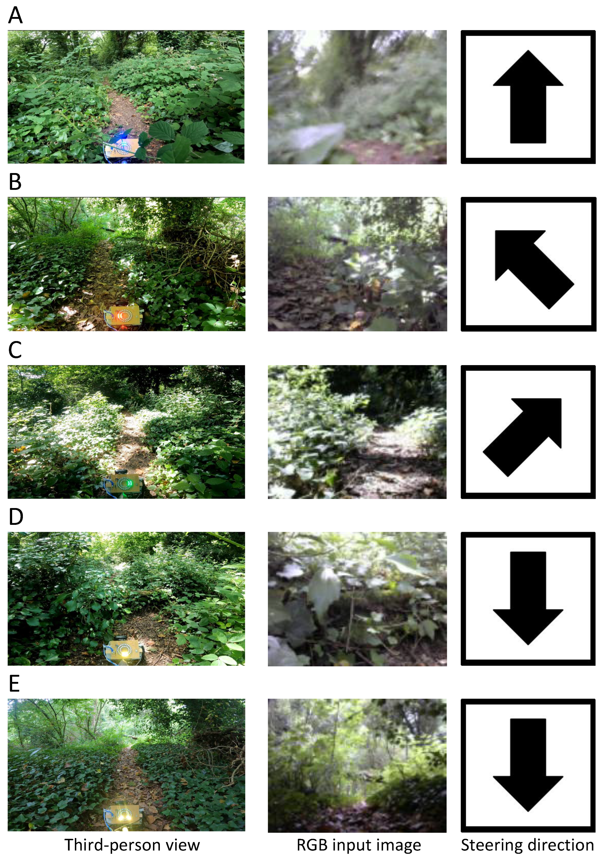 Forests 14 00268 g008