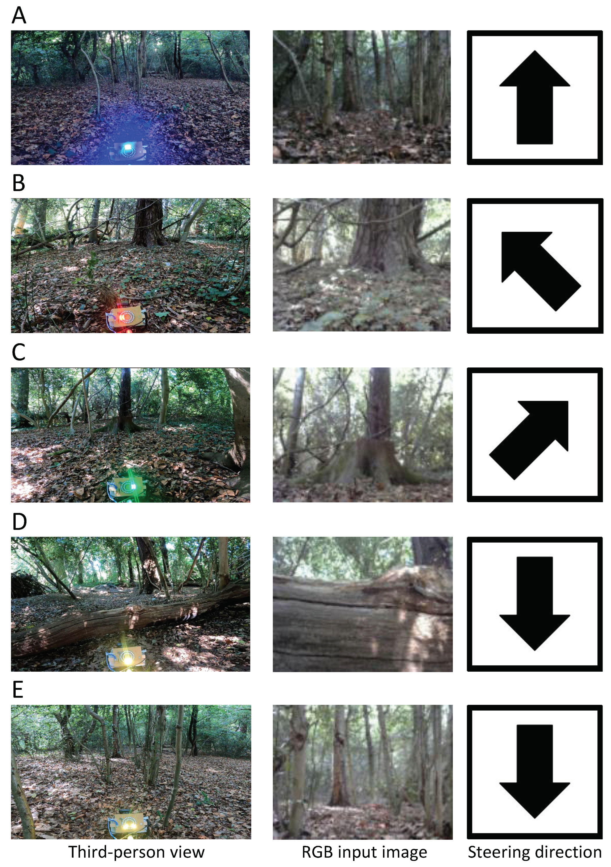 Forests 14 00268 g009