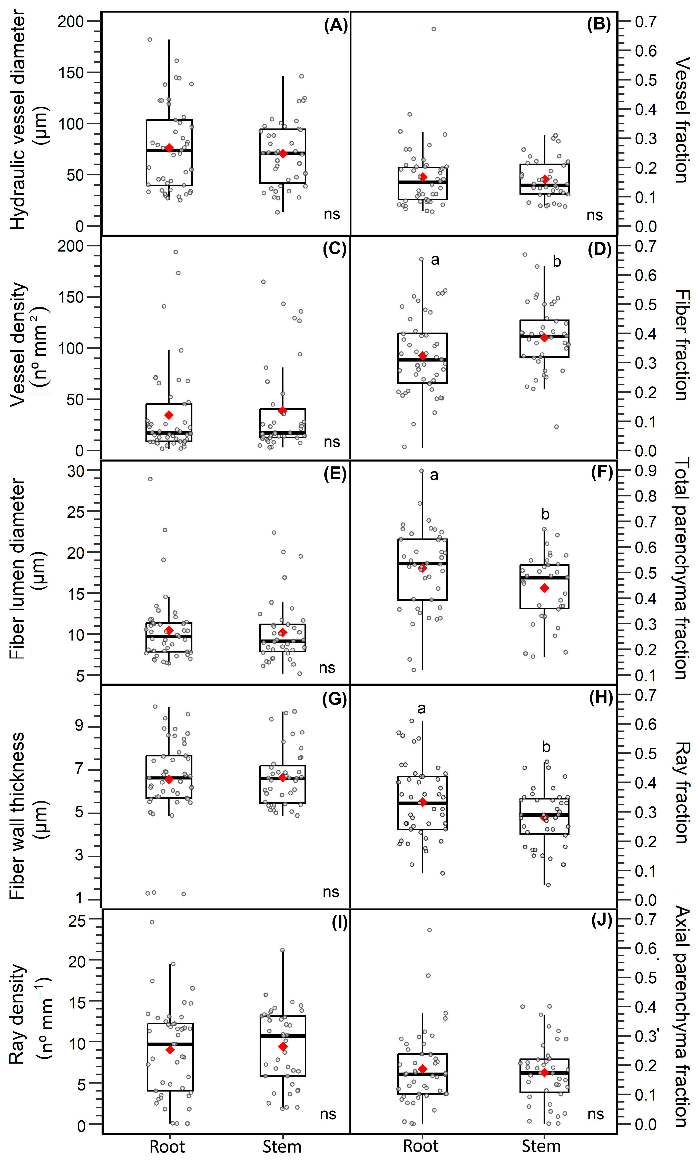 Forests 14 00269 g002