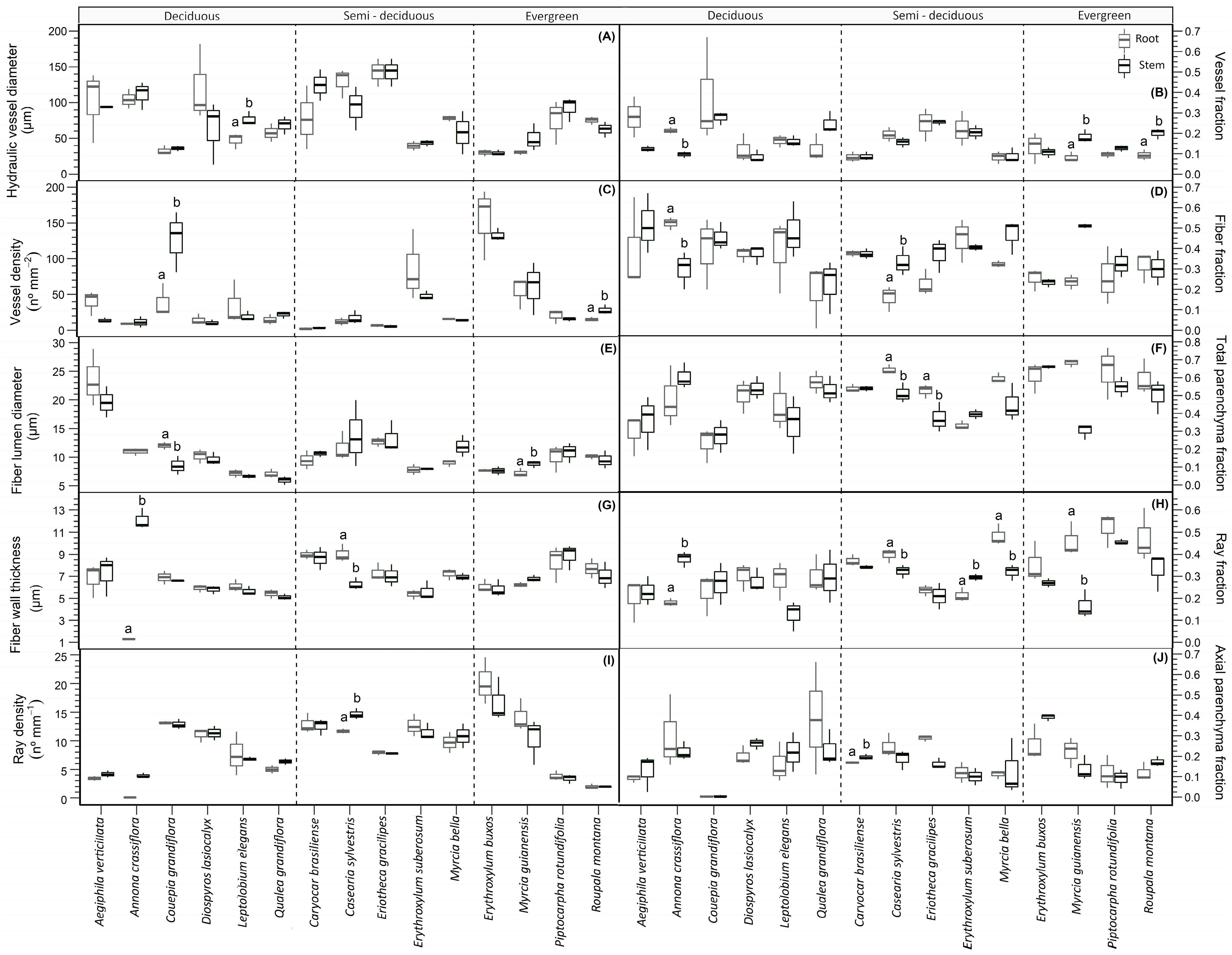 Forests 14 00269 g003