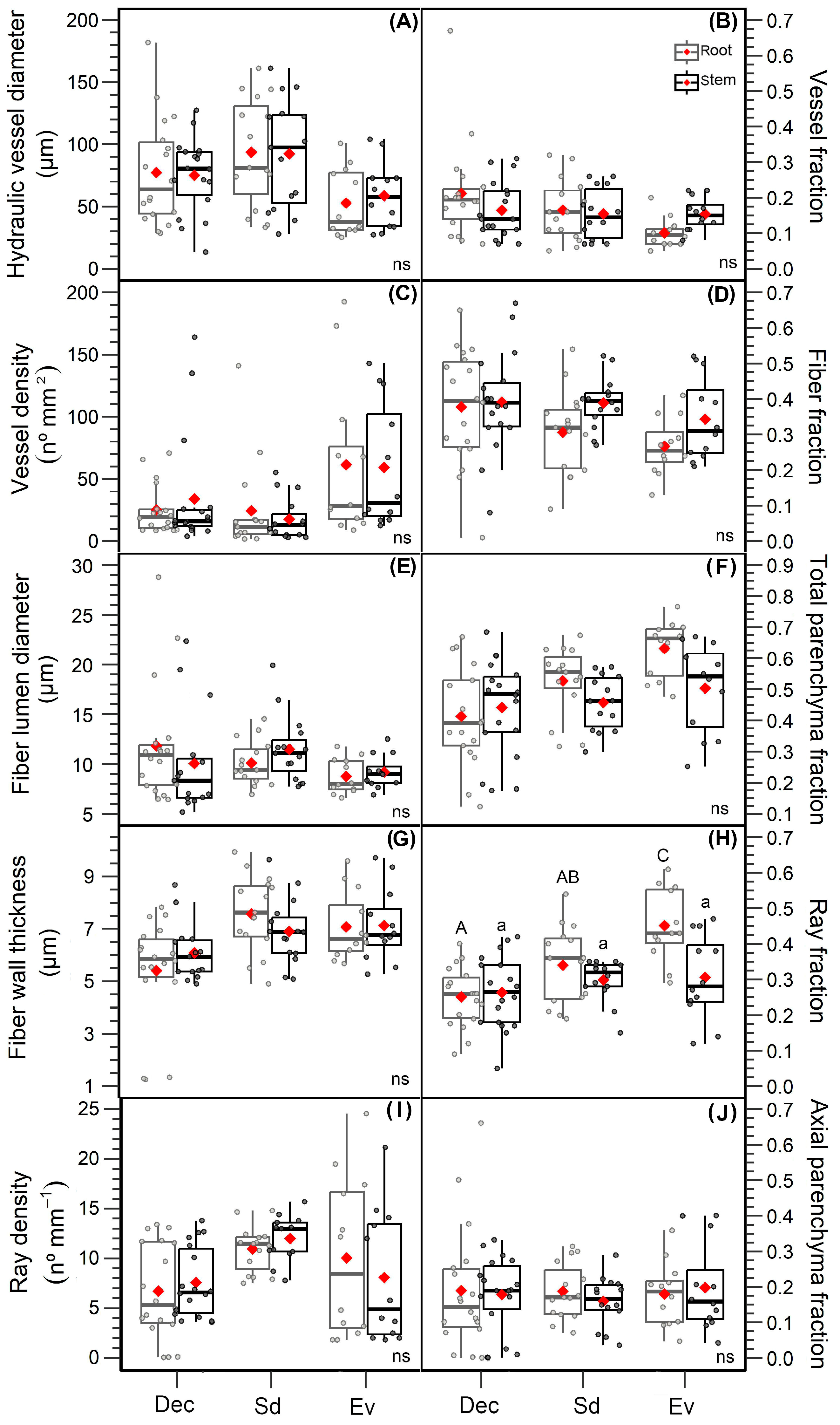 Forests 14 00269 g004