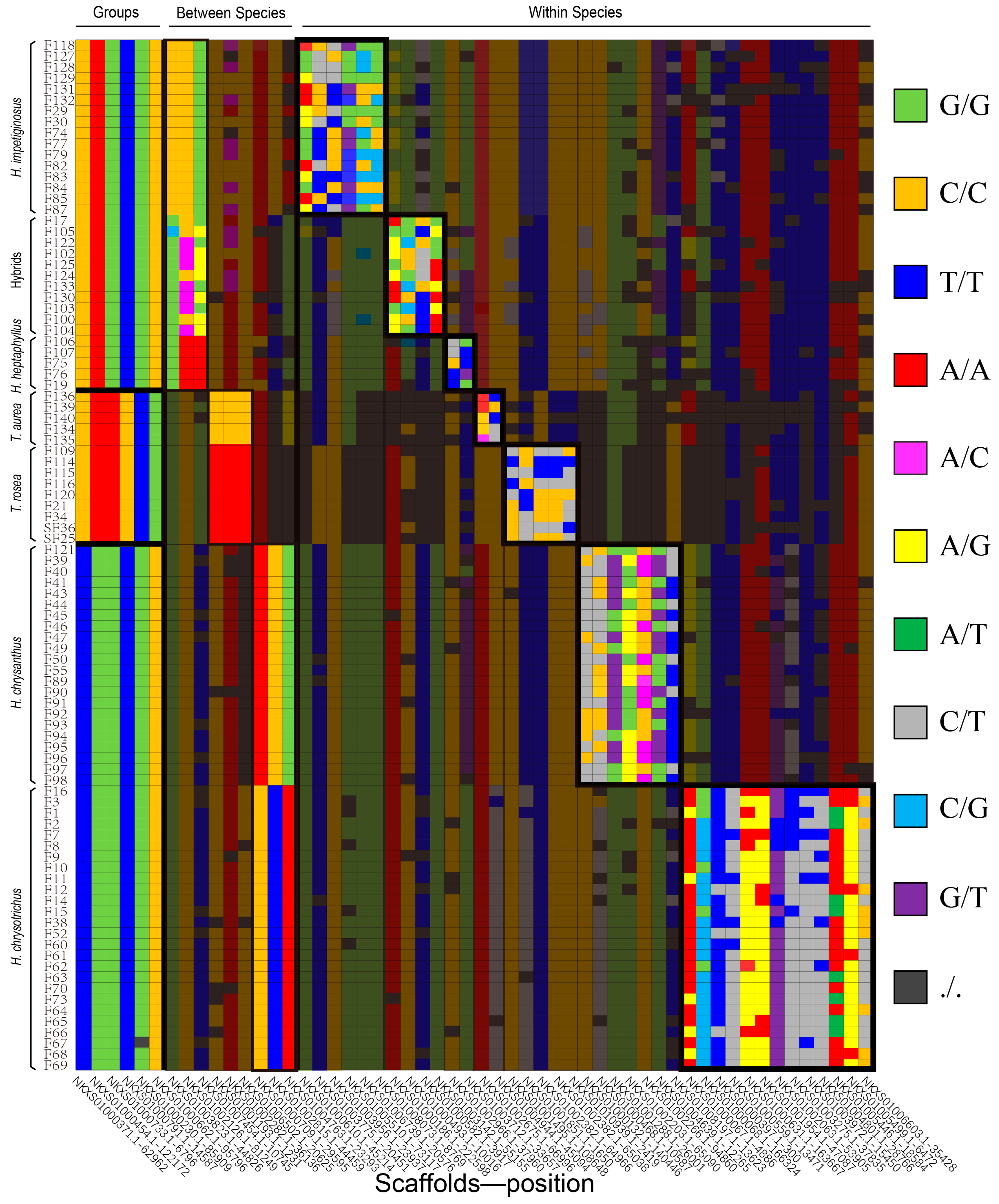 Forests 14 00271 g005