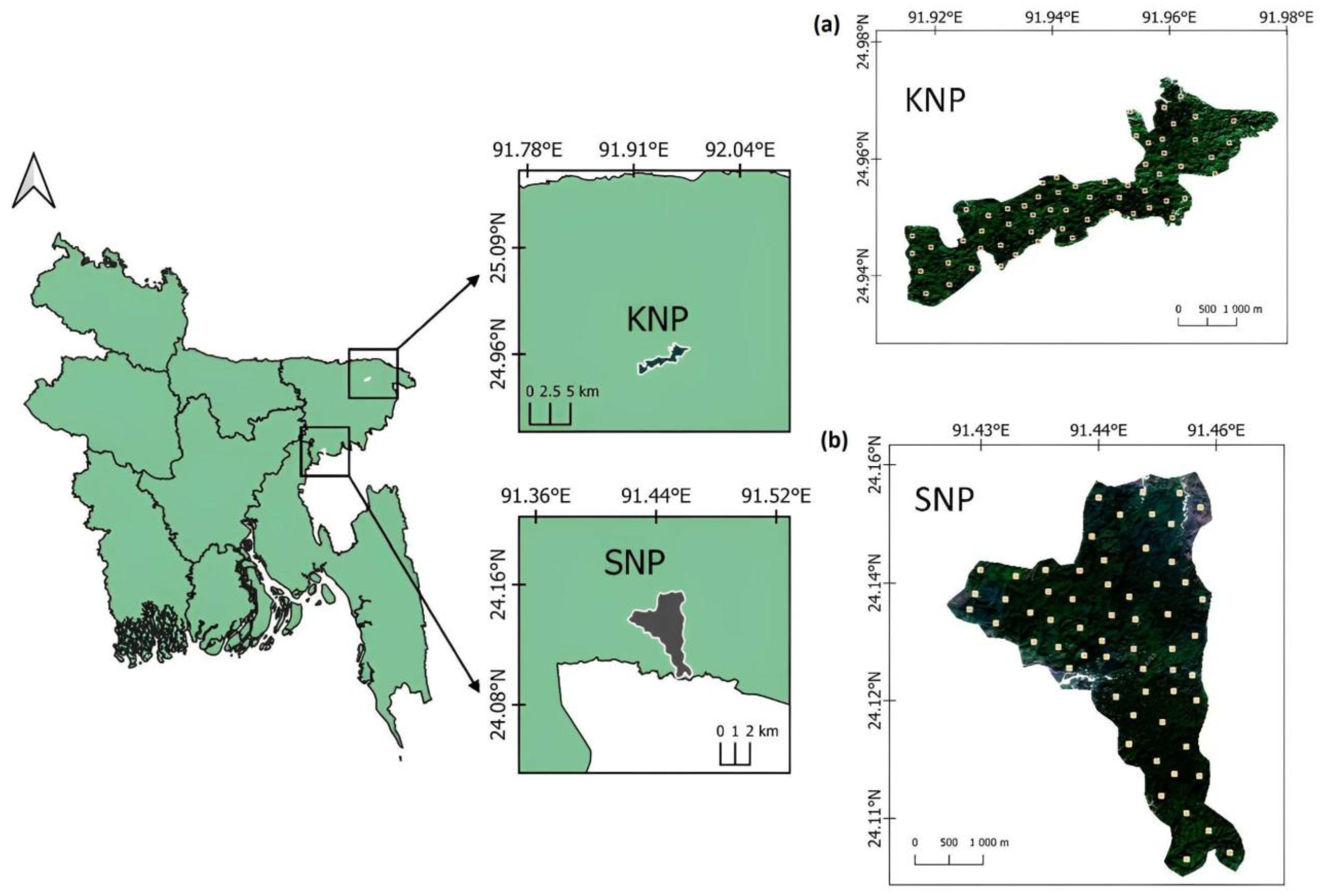 Forests 14 00272 g001 Forests 14 00272 g001