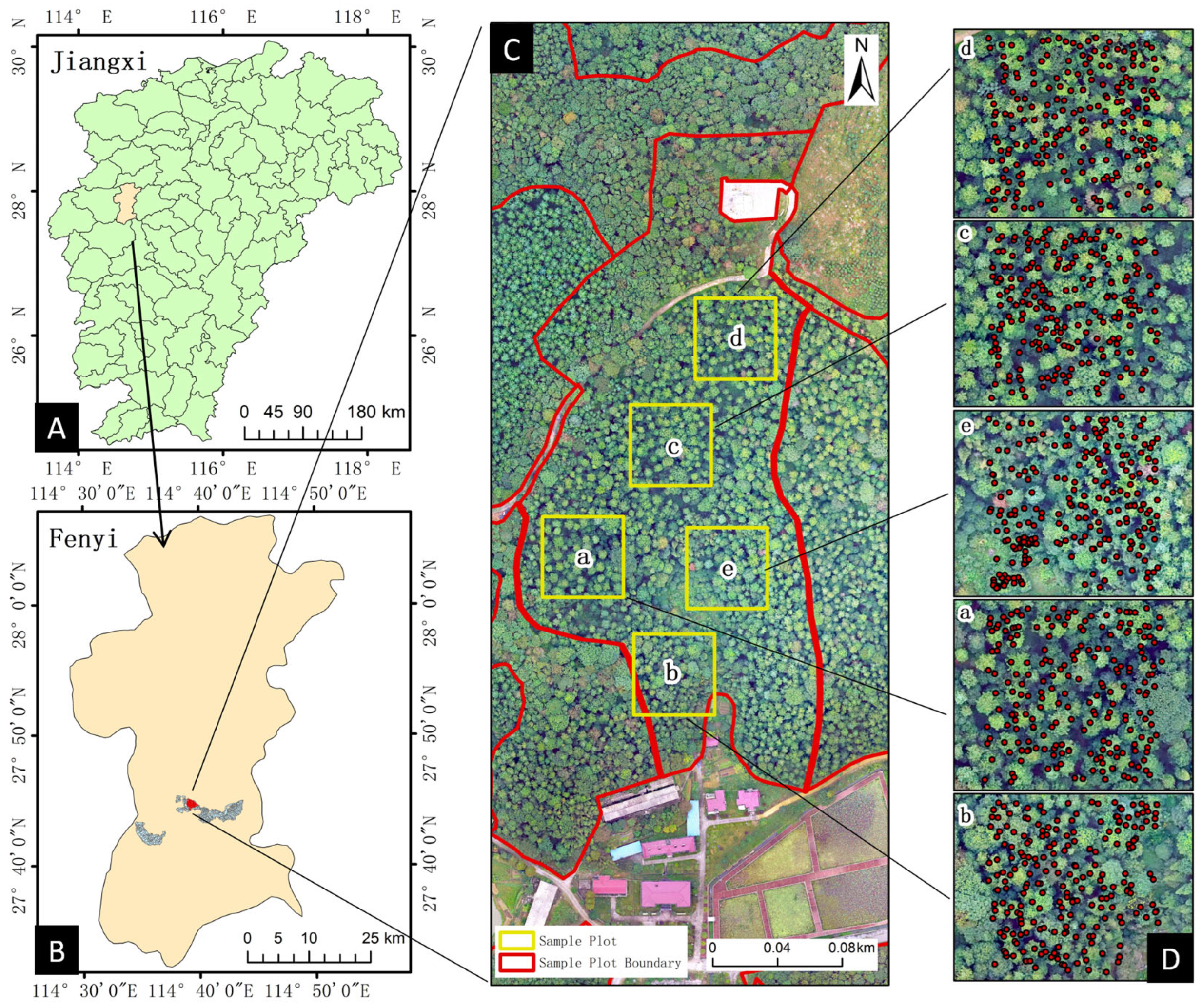 Forests 14 00277 g001