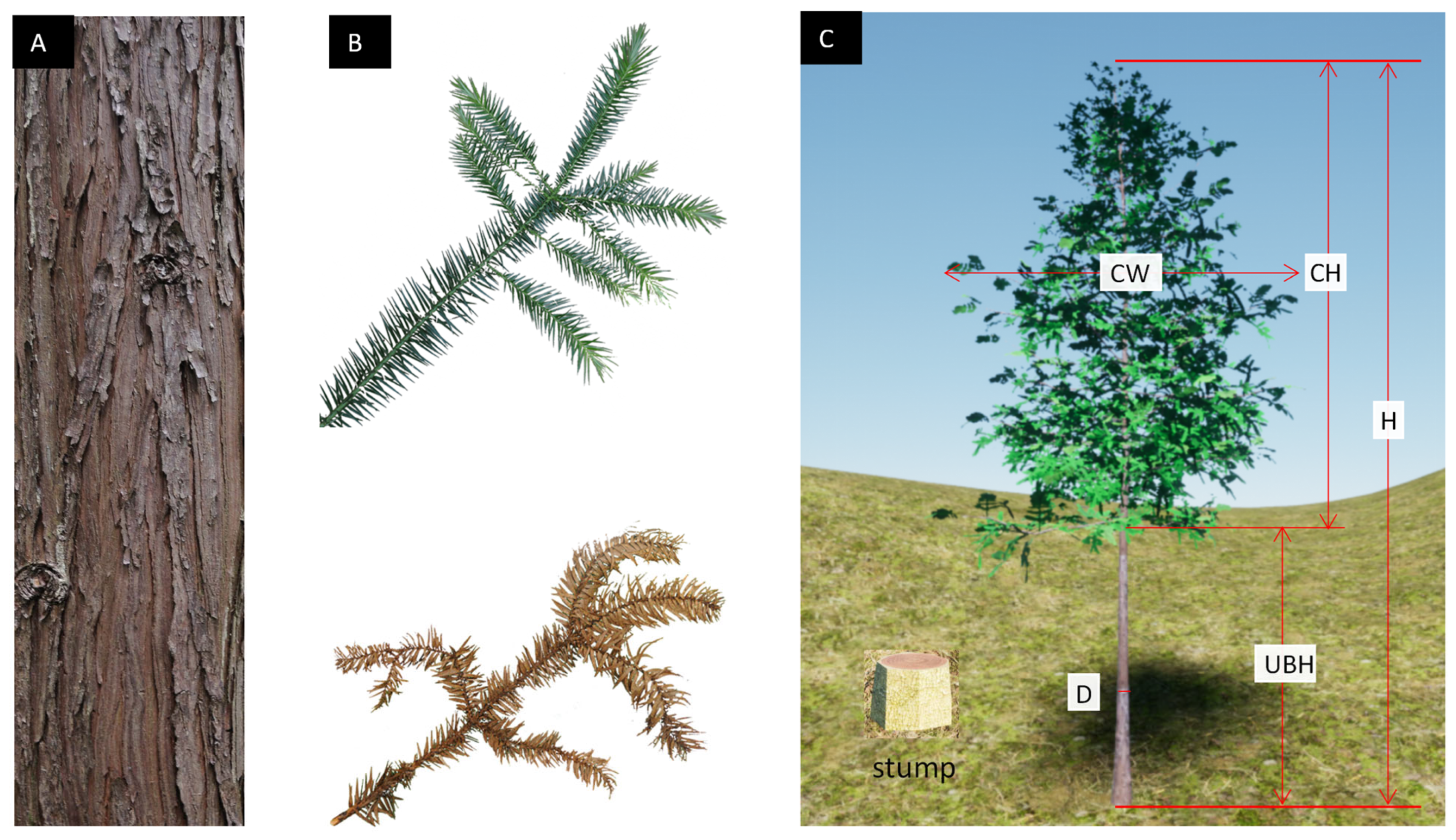 Forests 14 00277 g003