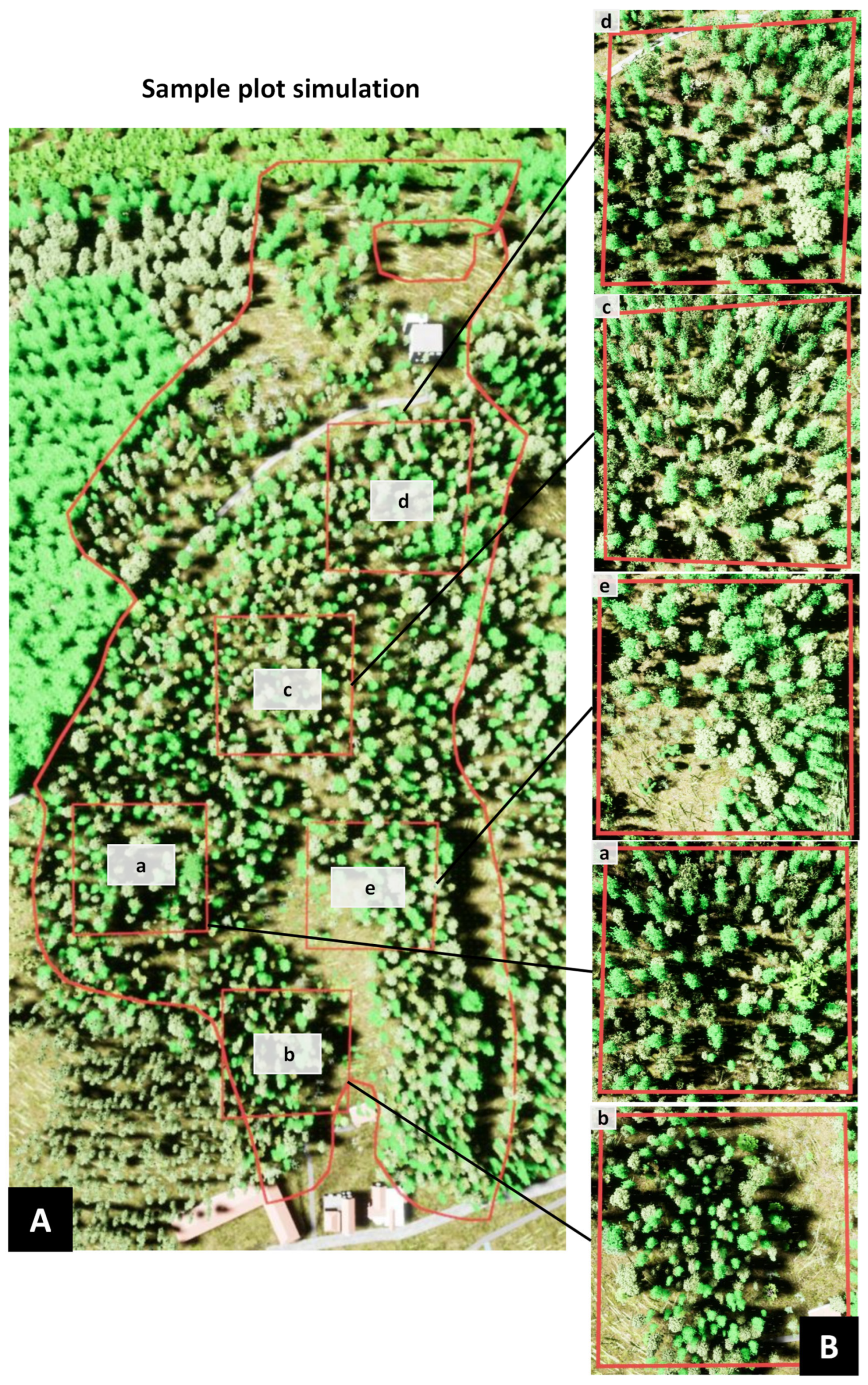 Forests 14 00277 g004