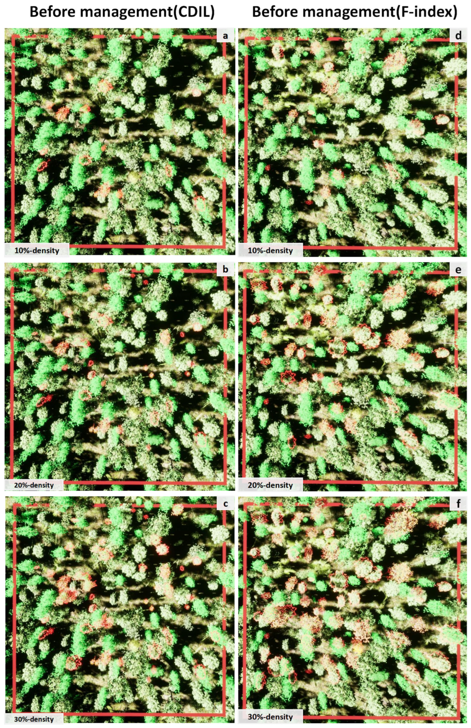 Forests 14 00277 g006