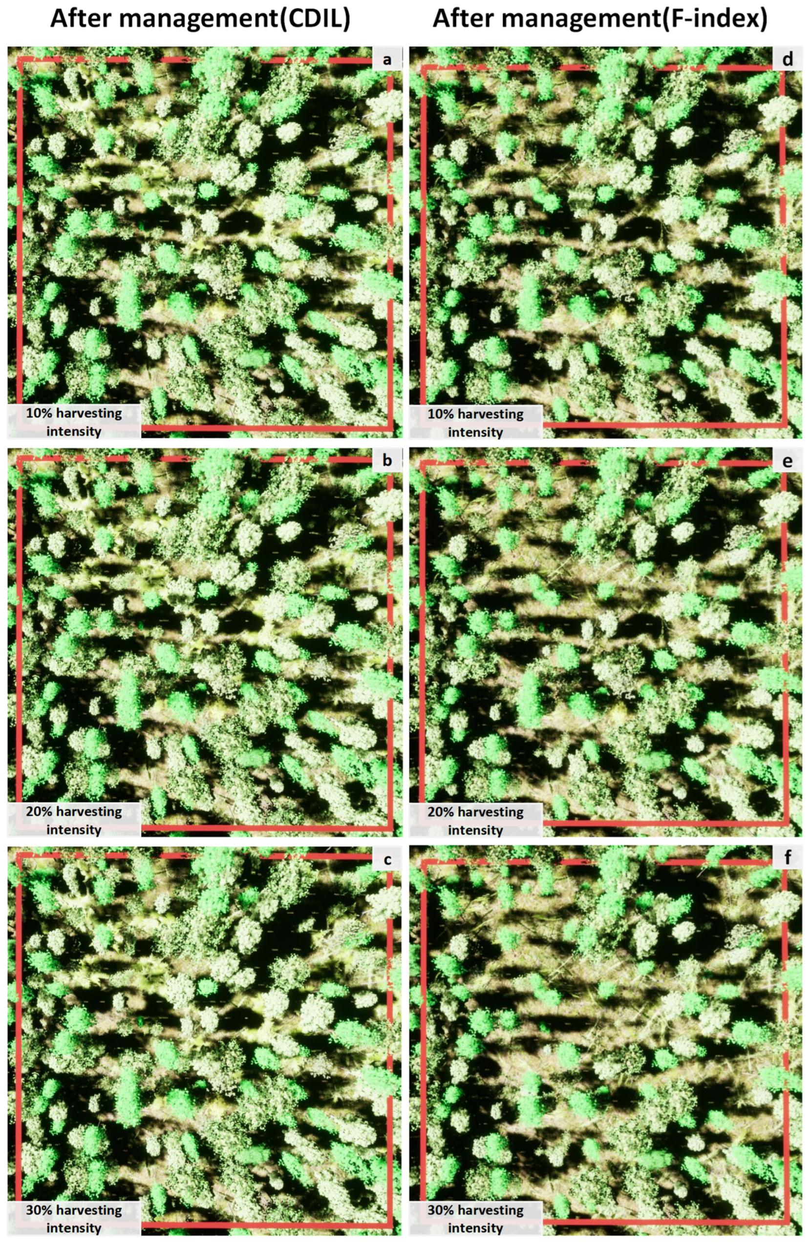 Forests 14 00277 g007