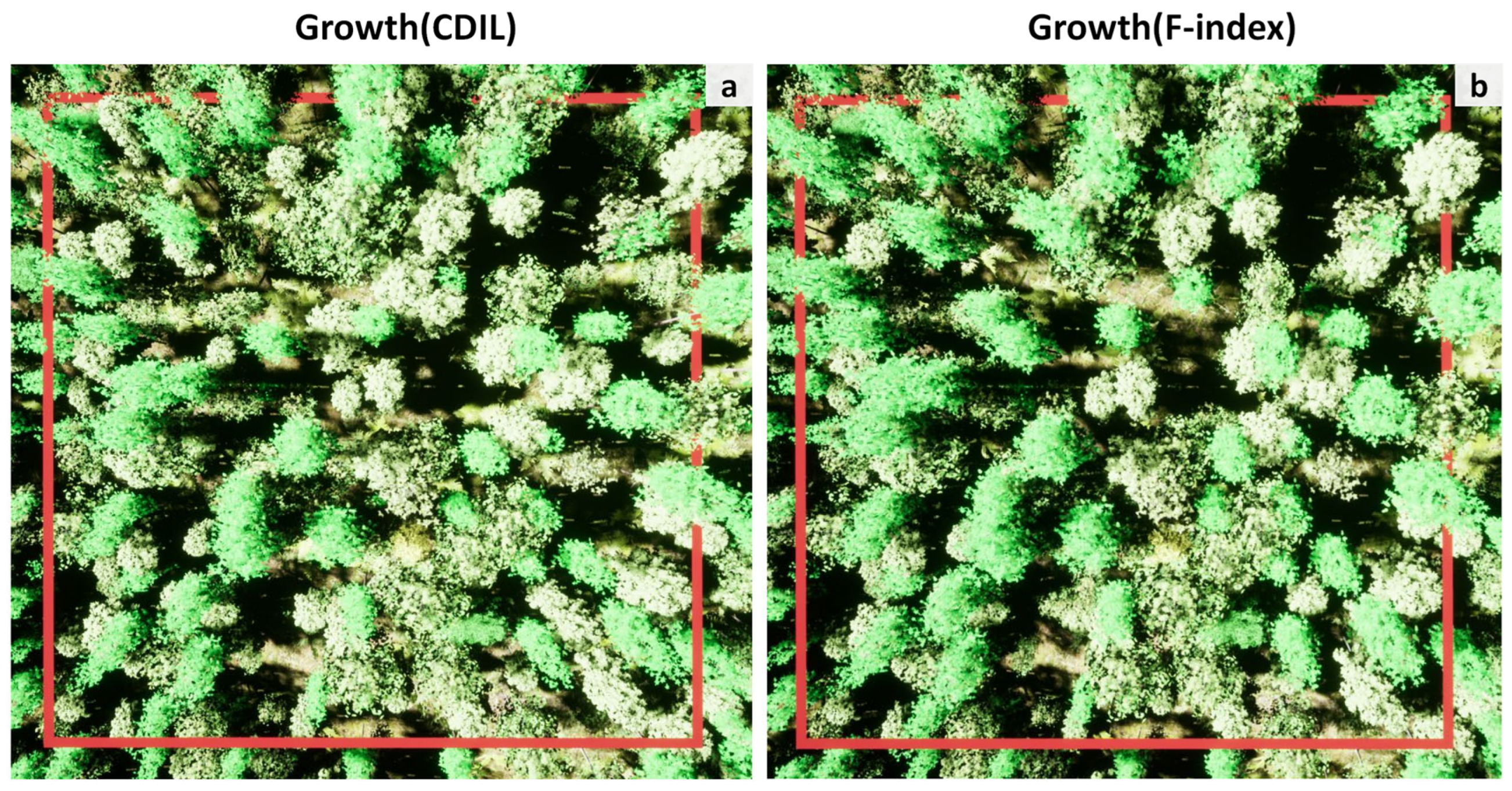 Forests 14 00277 g008