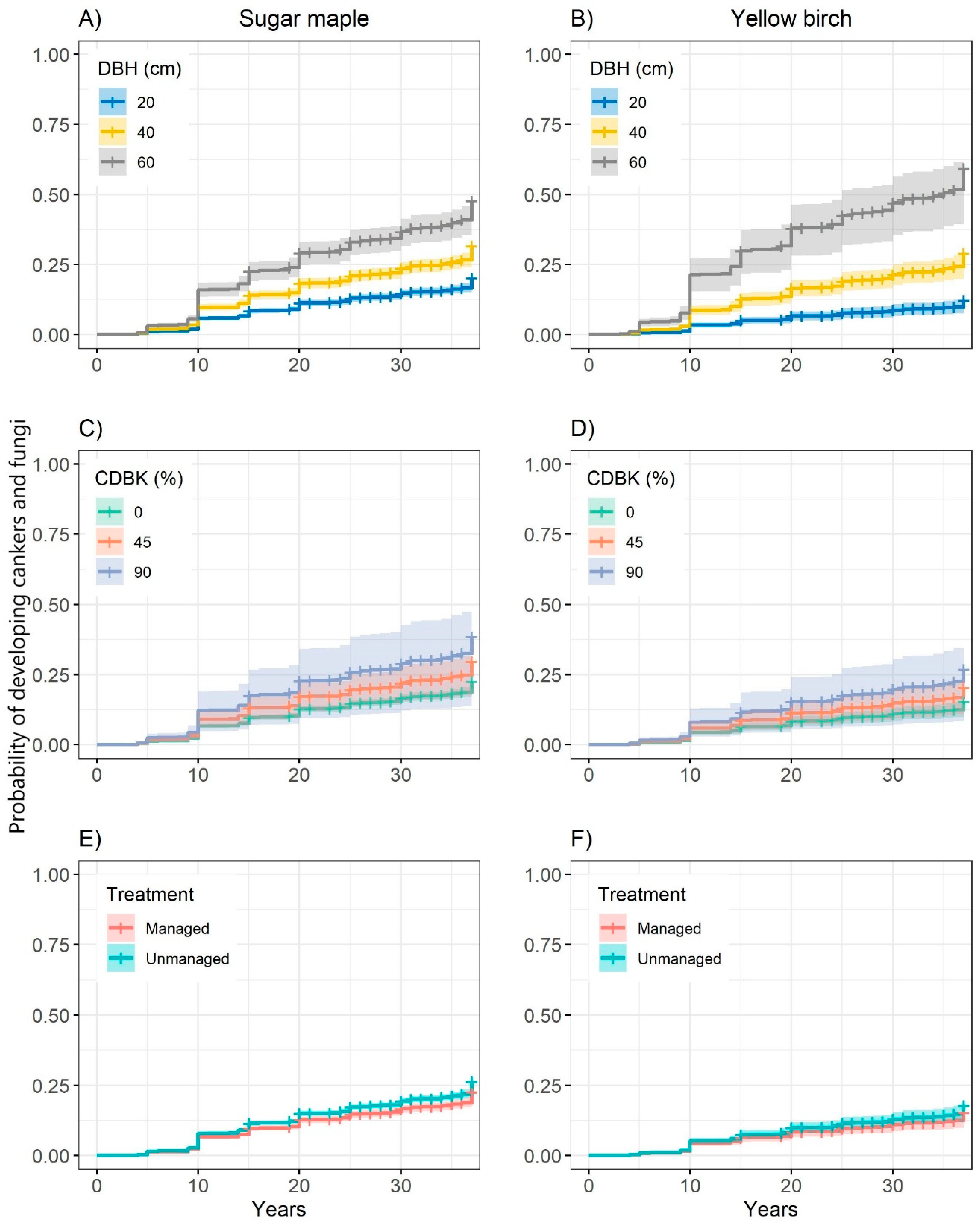 Forests 14 00280 g002