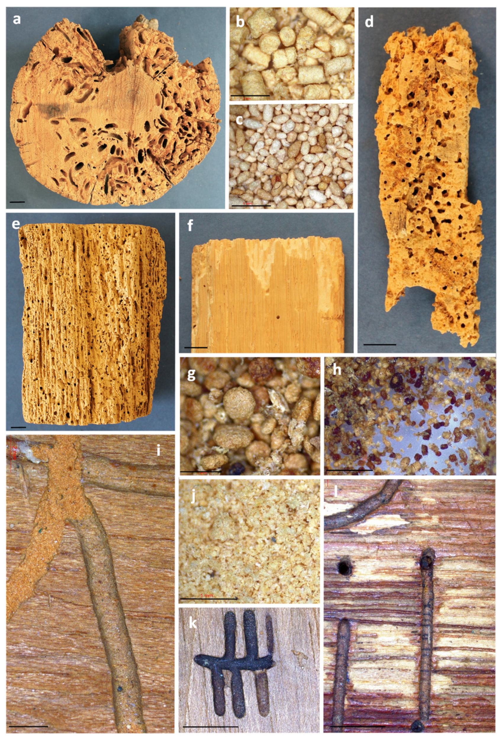 Forests 14 00283 g003