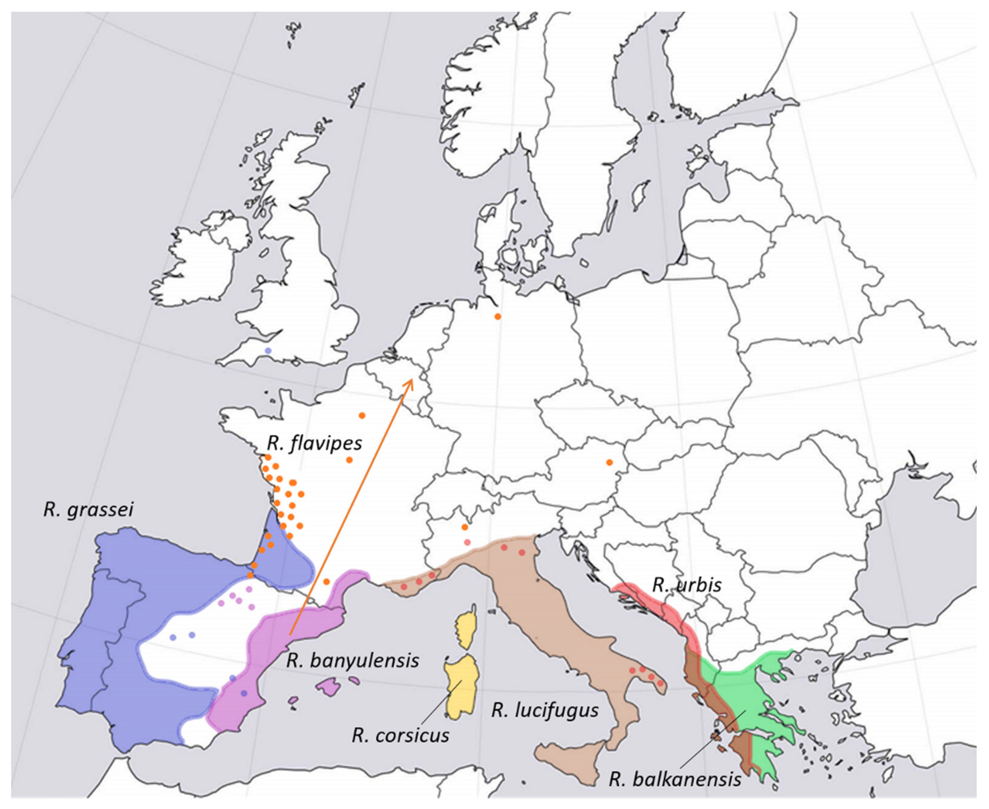 Forests 14 00283 g005