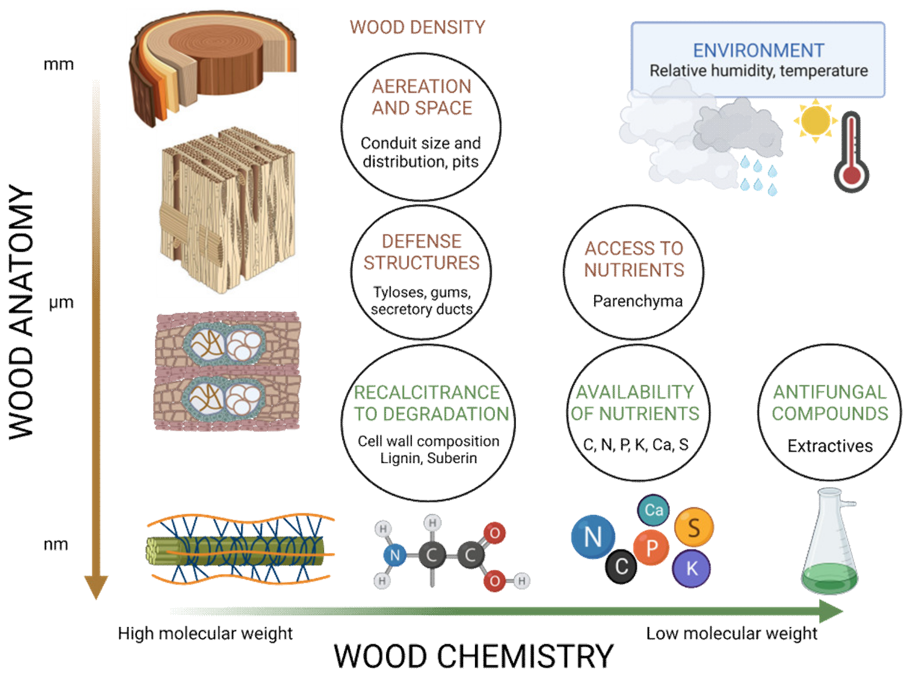 Forests 14 00283 g007