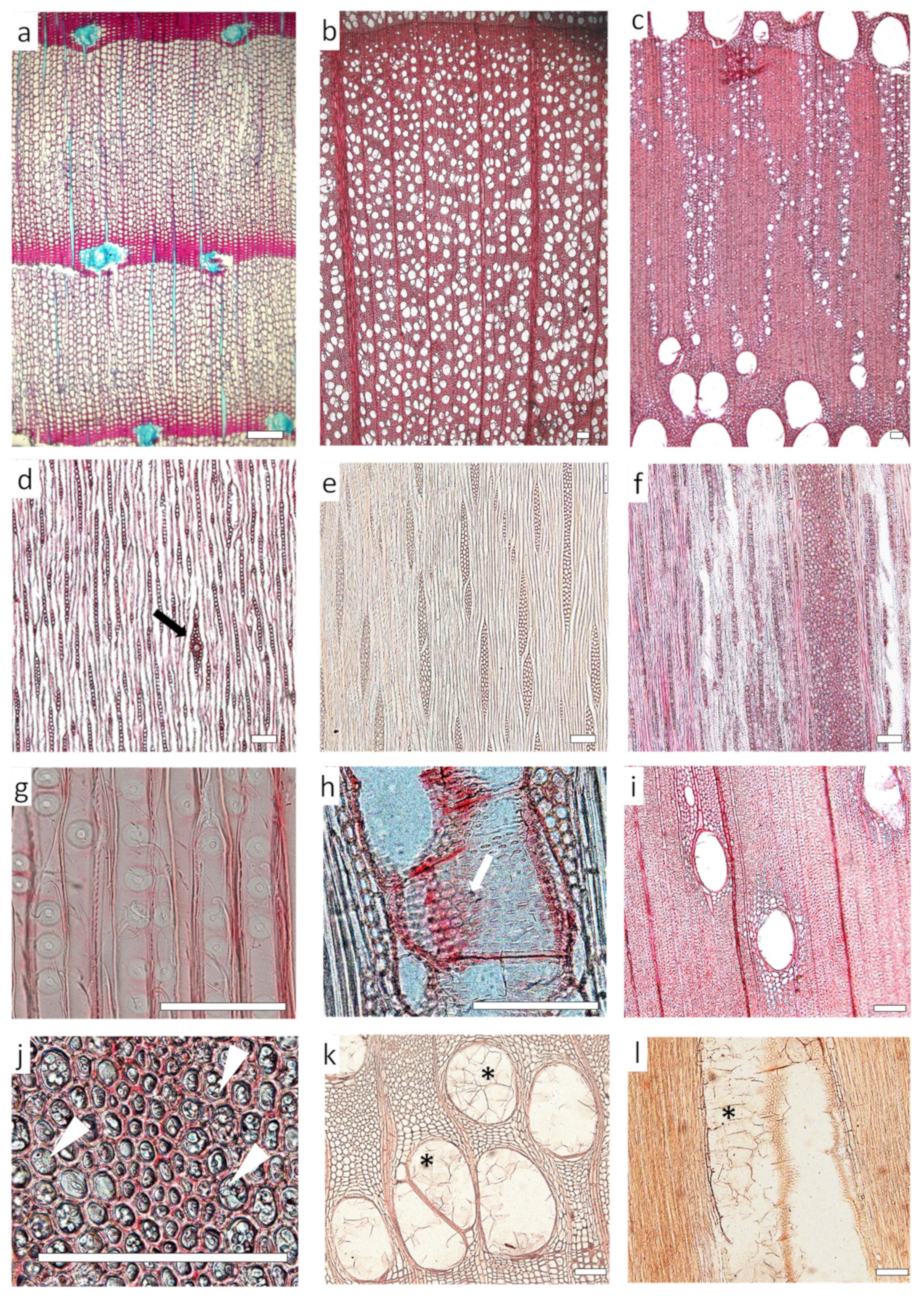 Forests 14 00283 g008