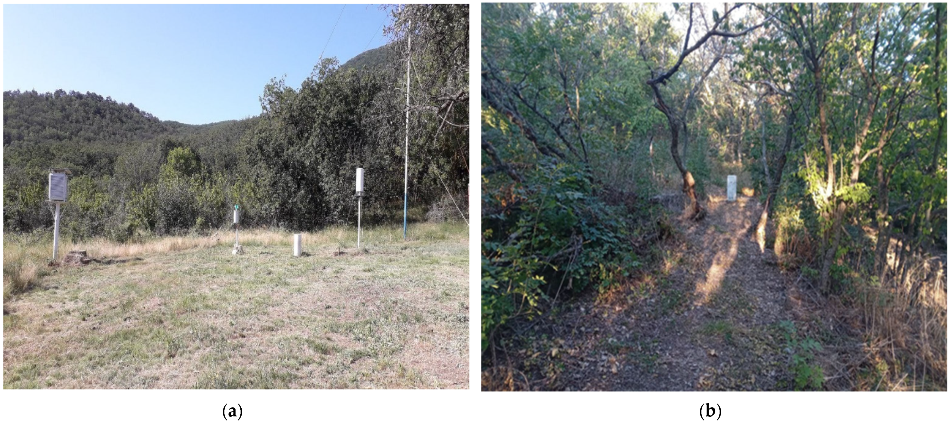 Forests 14 00294 g002