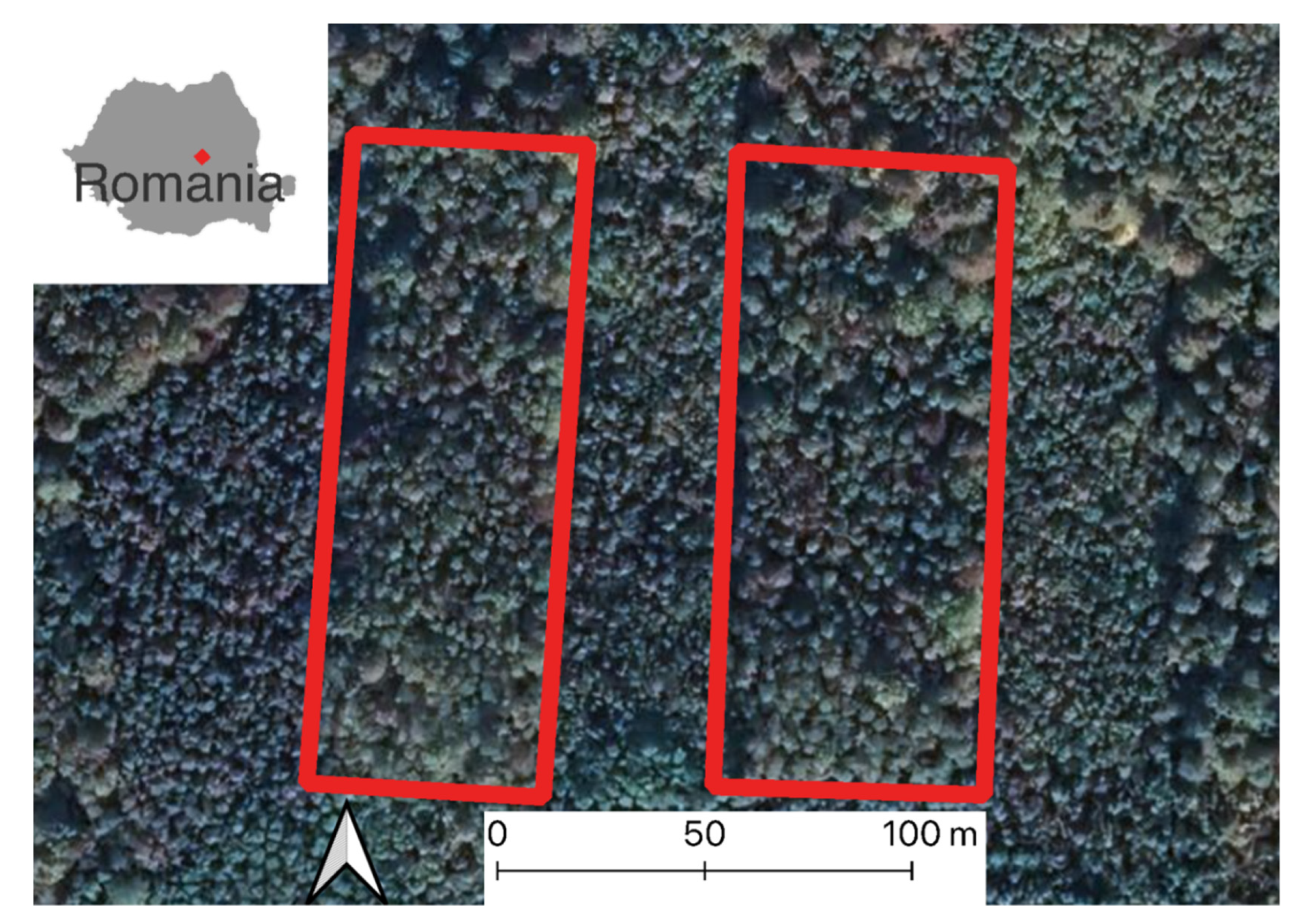 Forests 14 00297 g001 Forests 14 00297 g001