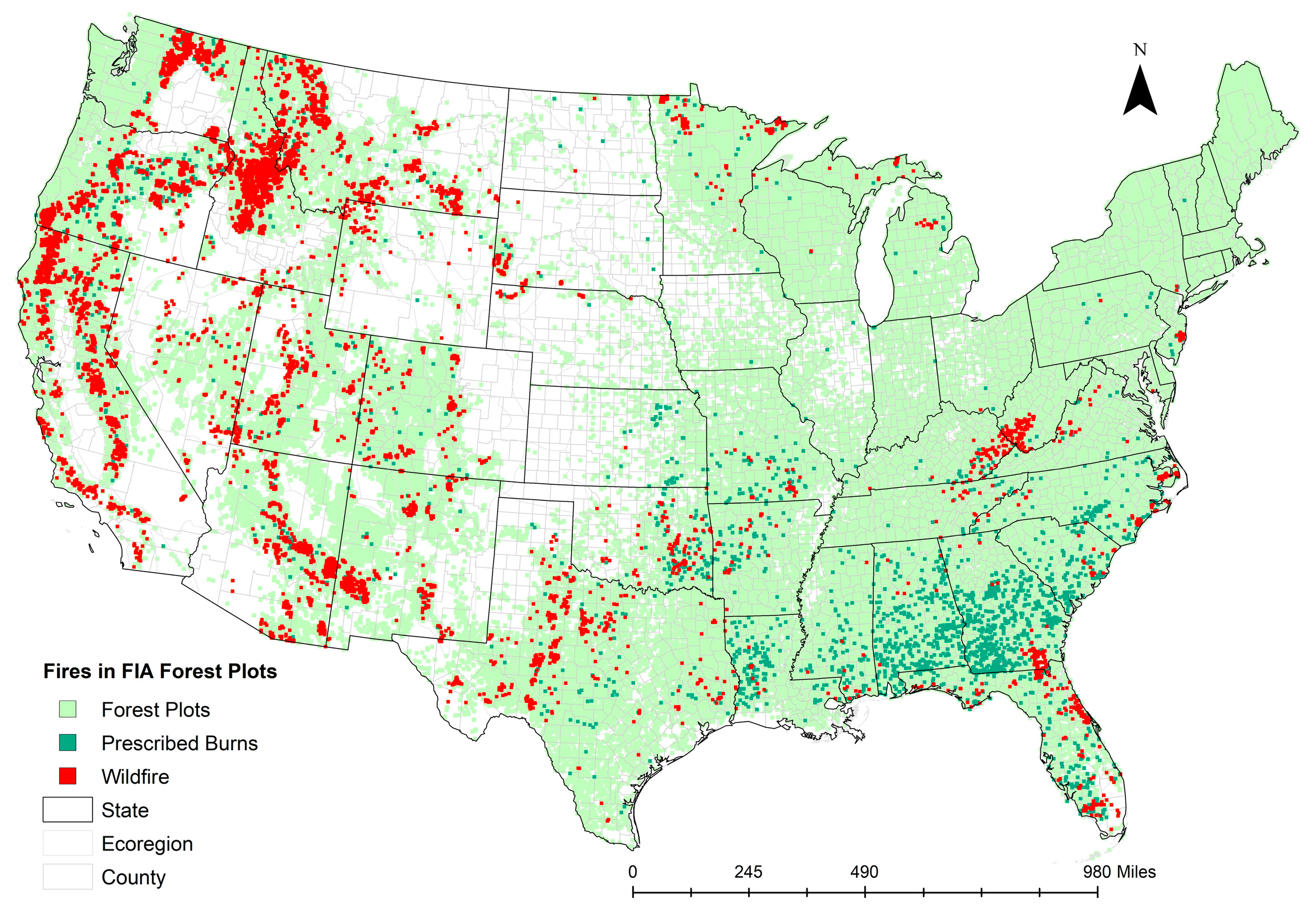 Forests 14 00302 g002