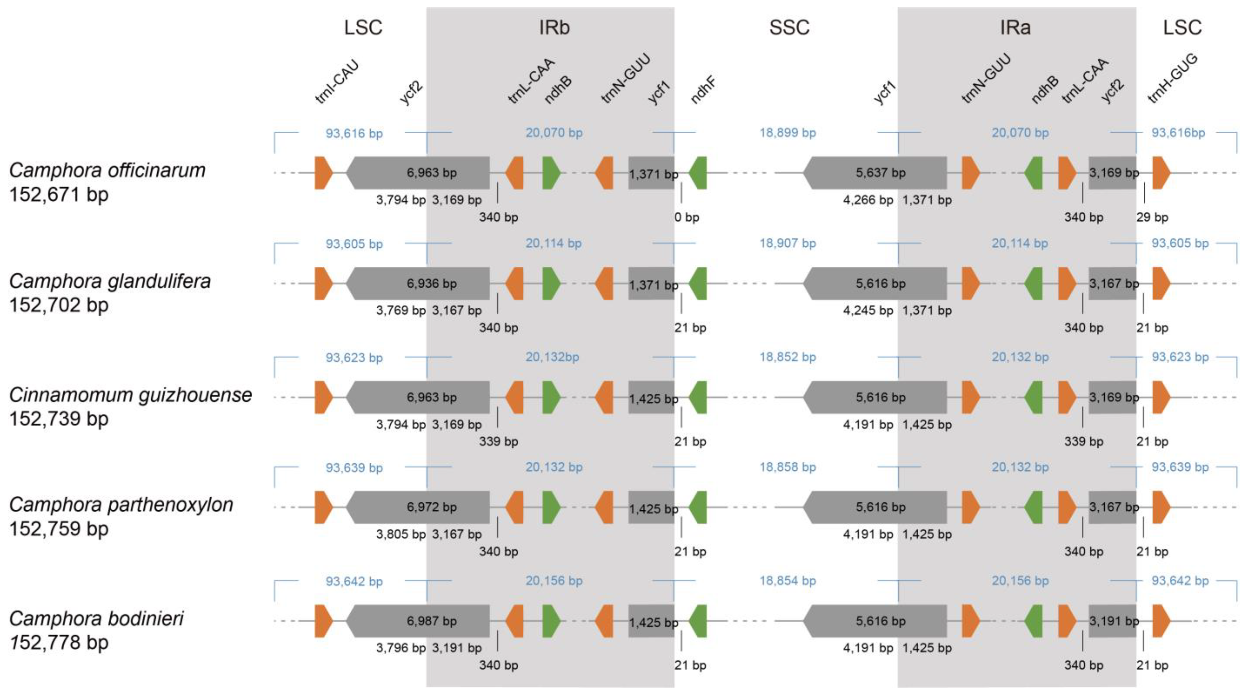 Forests 14 00310 g005