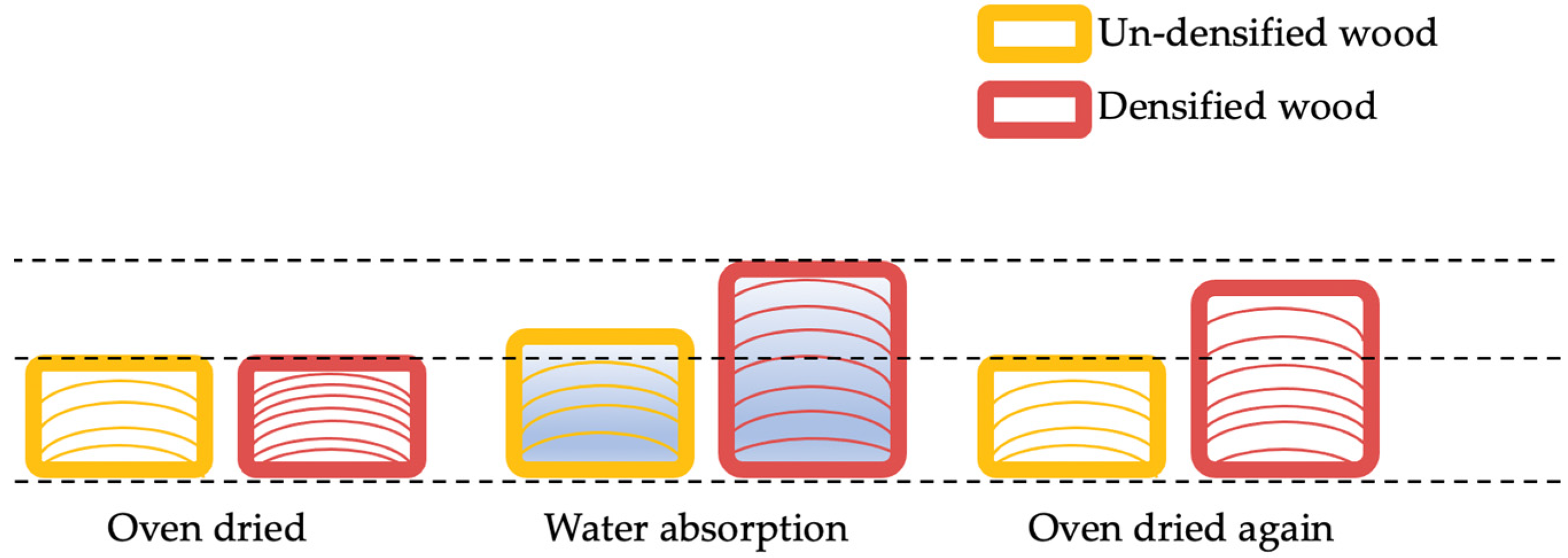 Forests 14 00311 g003