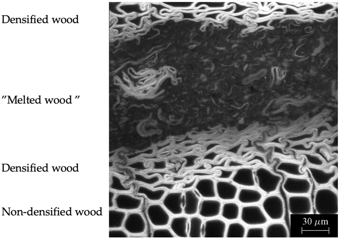 Forests 14 00311 g005
