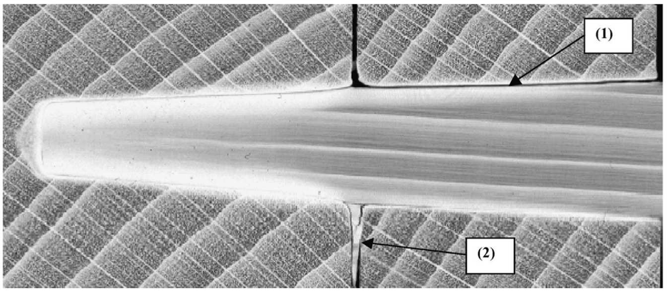 Forests 14 00311 g006