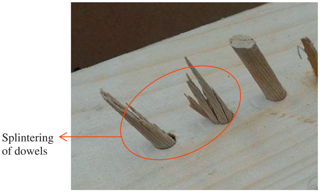 Forests 14 00311 g007