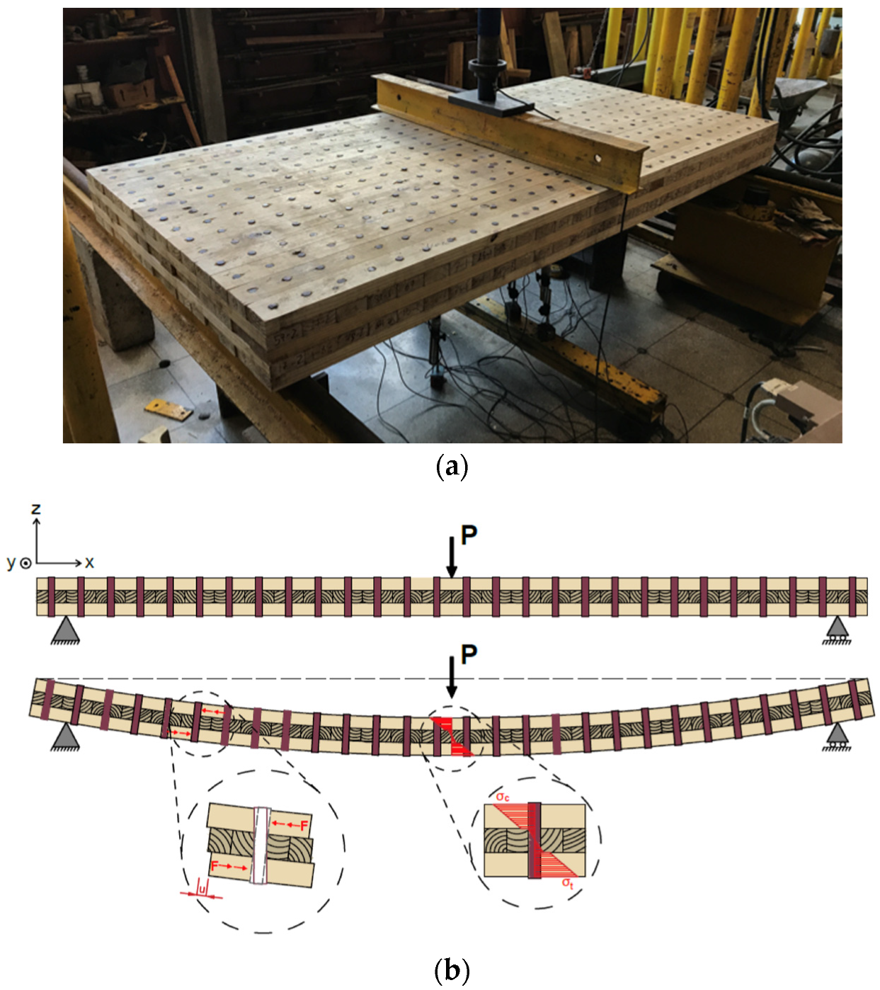 Forests 14 00311 g009