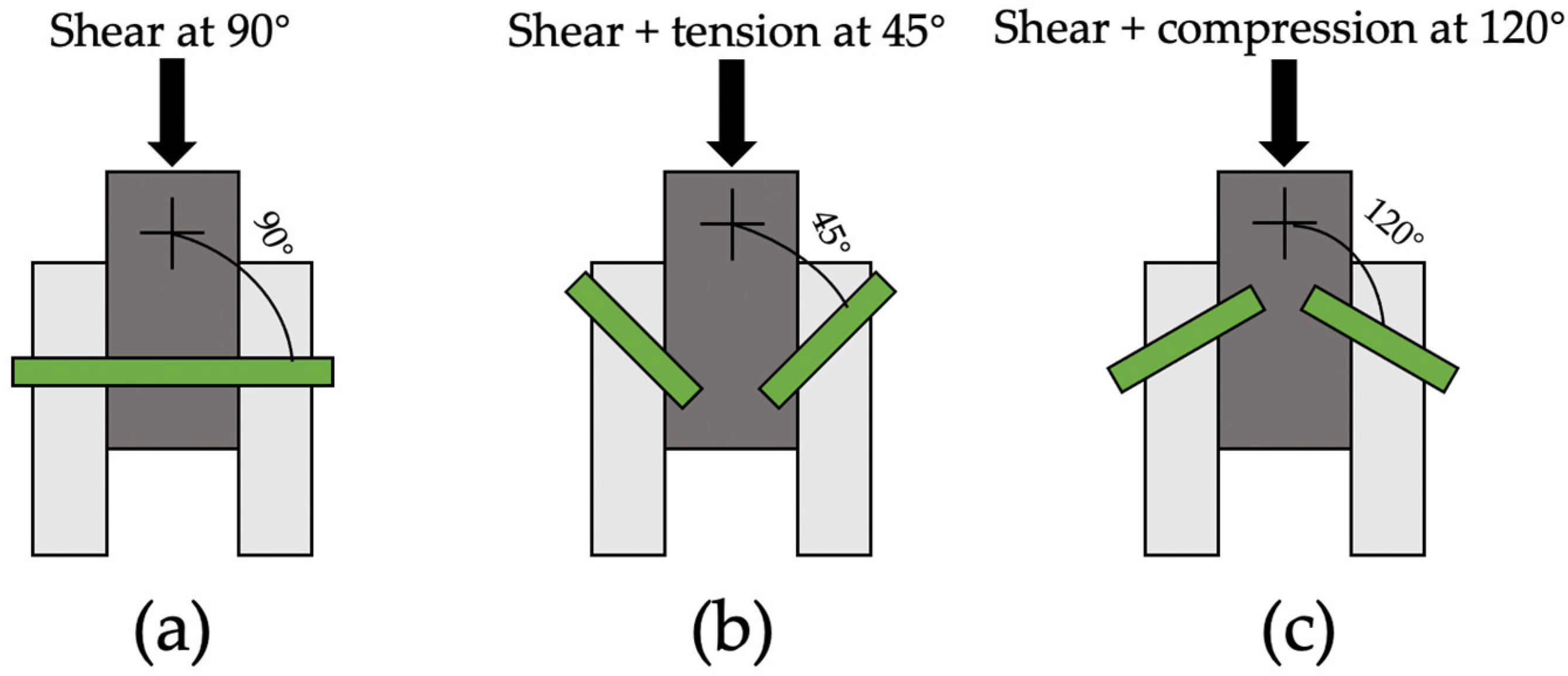 Forests 14 00311 g010
