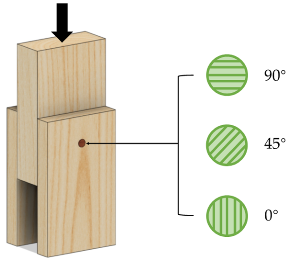 Forests 14 00311 g011