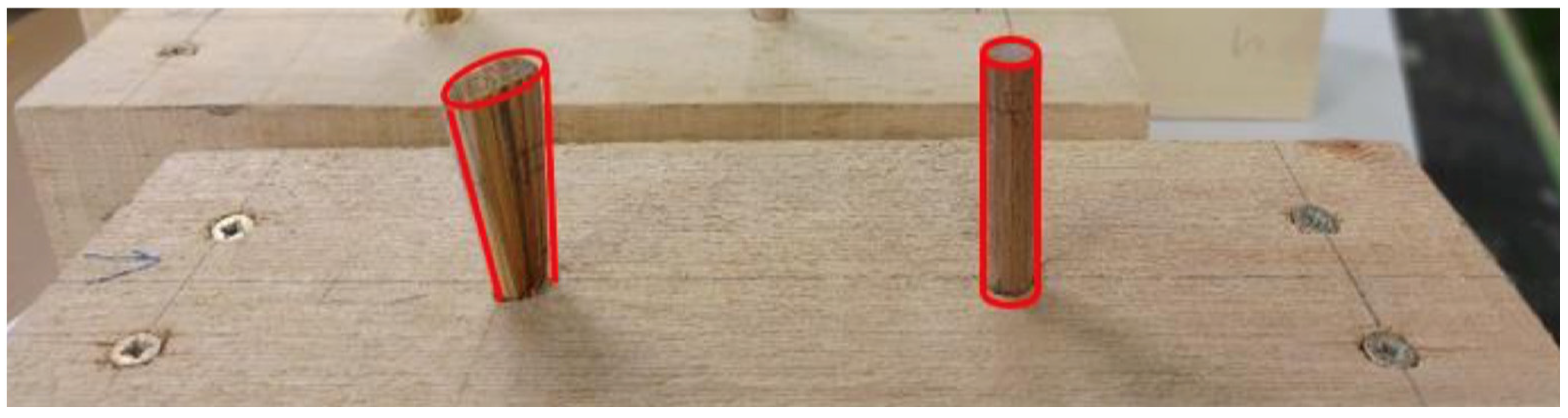 Forests 14 00311 g013