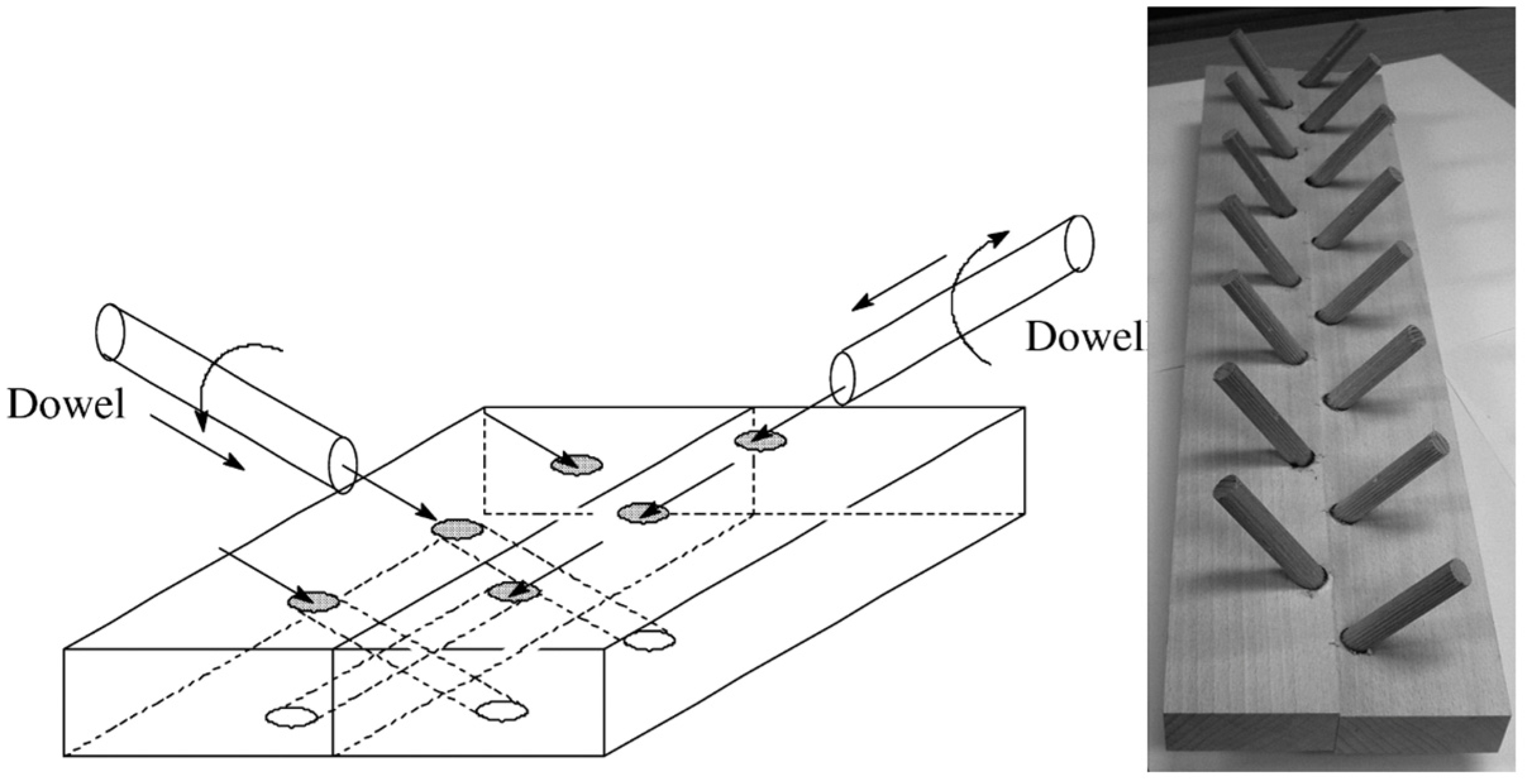 Forests 14 00311 g014