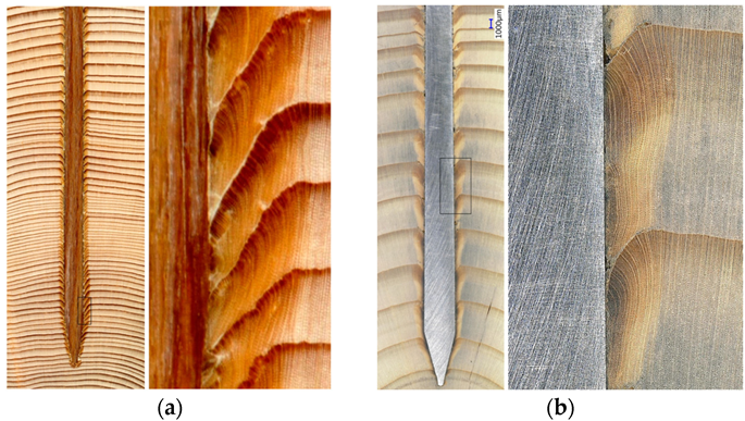 Forests 14 00311 g016