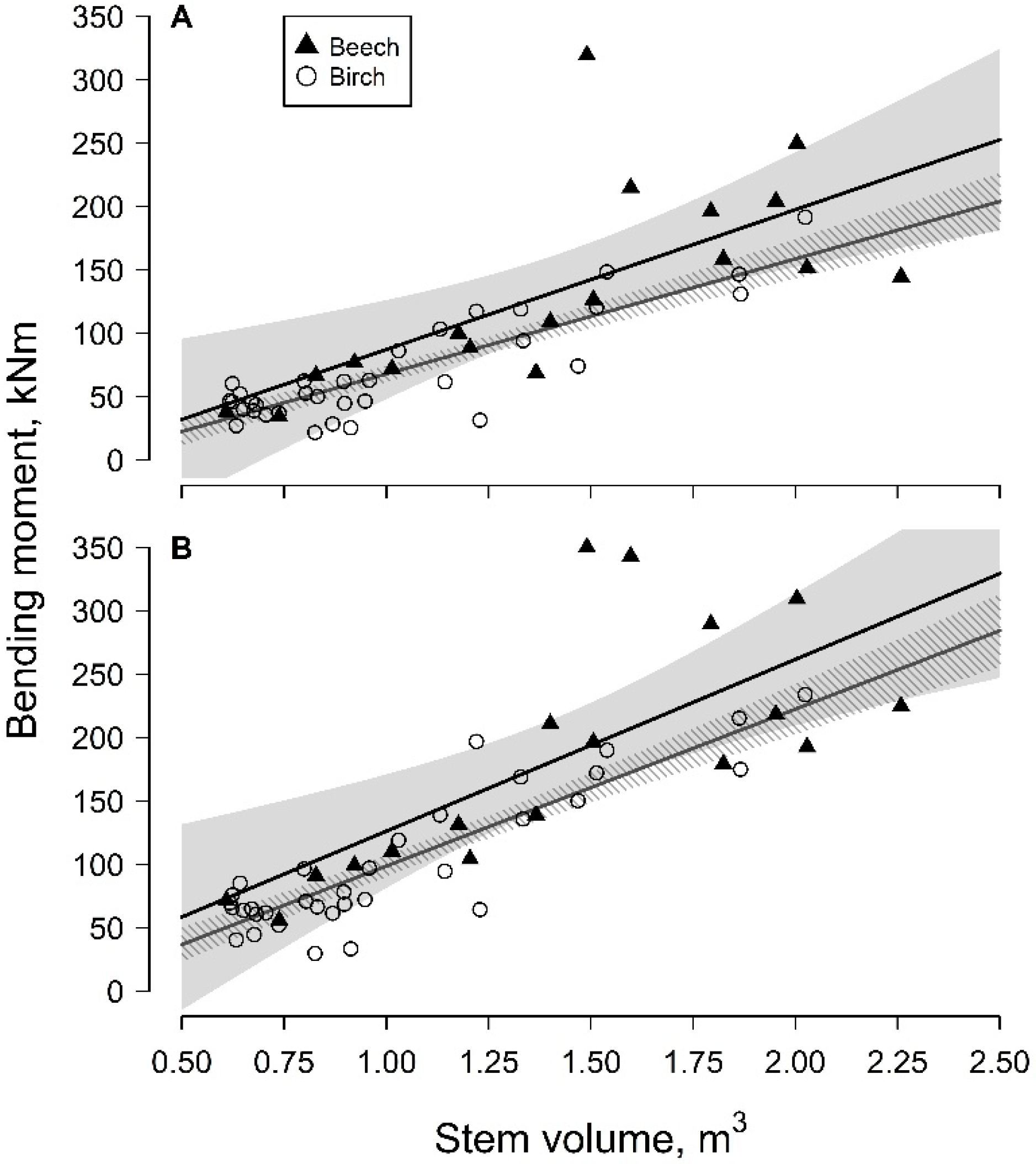 Forests 14 00313 g001