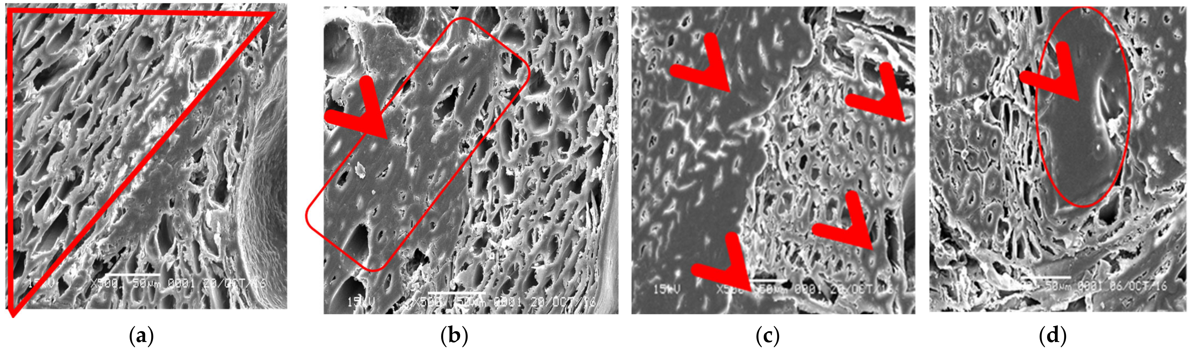 Forests 14 00320 g009