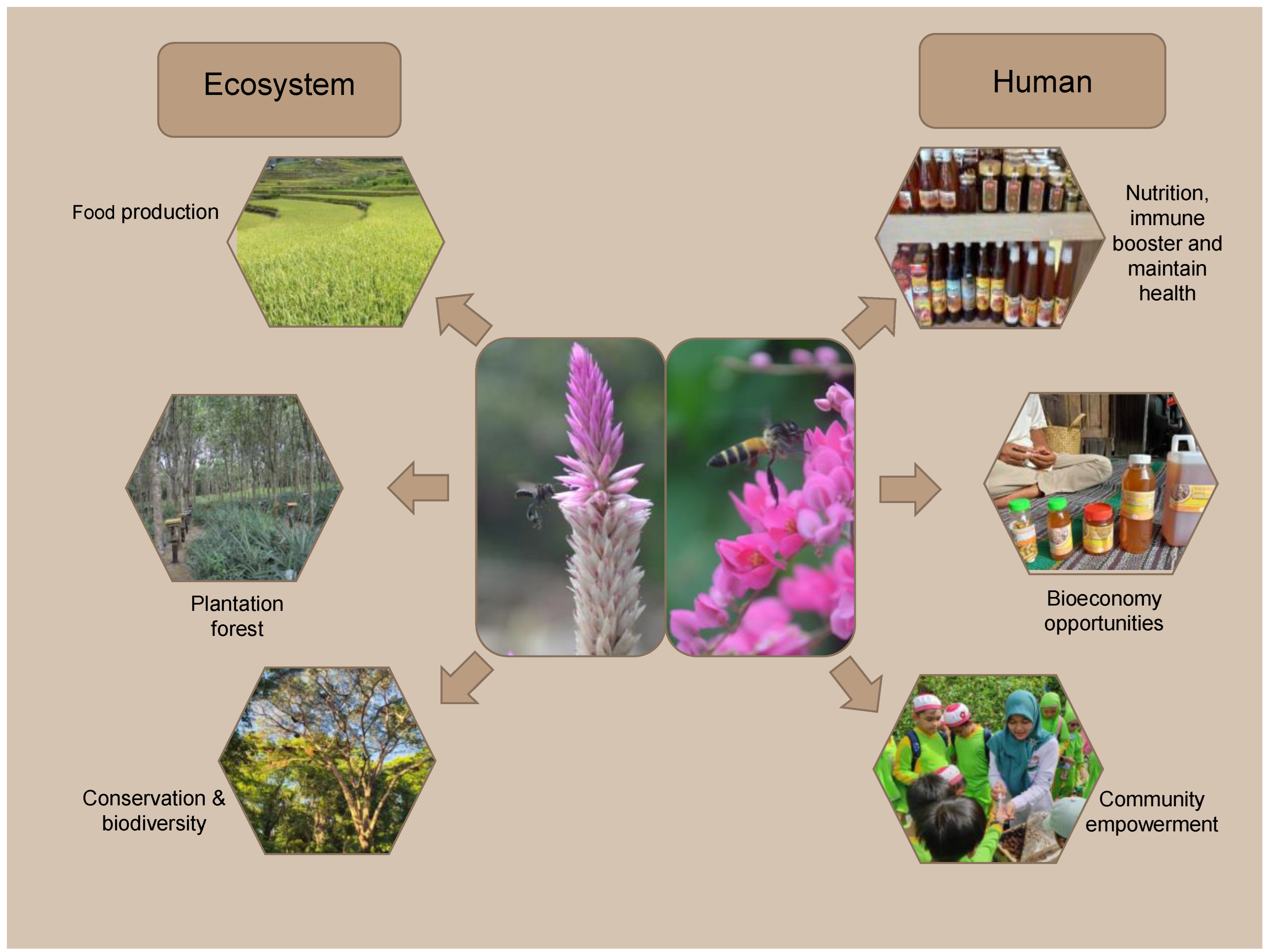 Forests 14 00321 g004