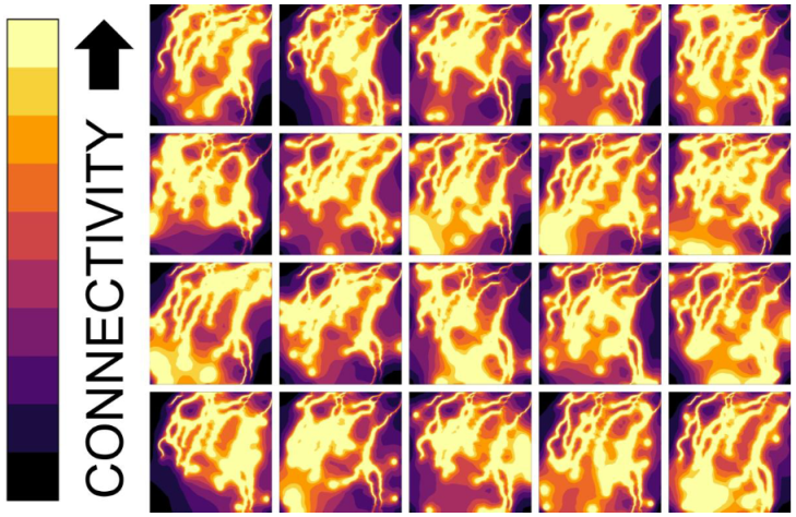 Forests 14 00322 g002