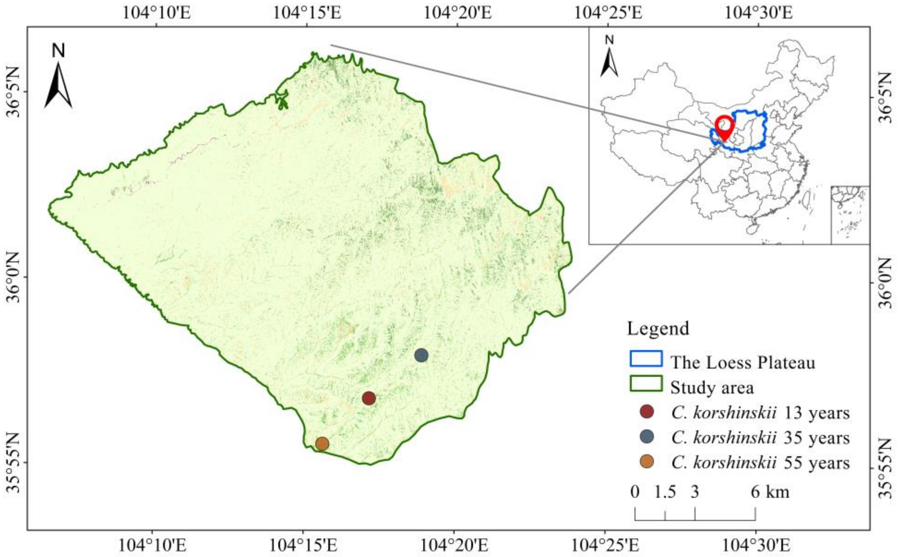 Forests 14 00329 g001